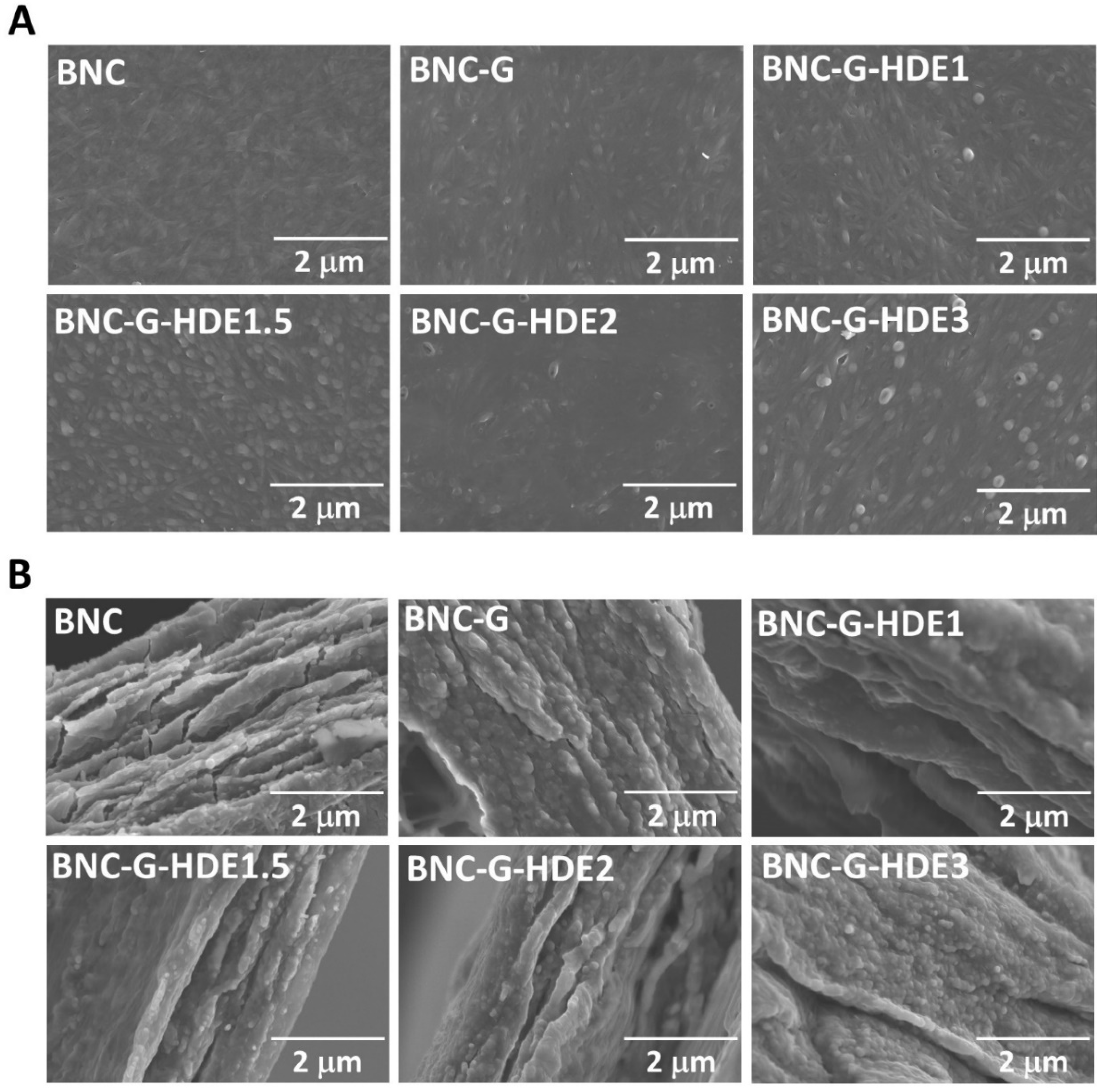 Materials 15 01982 g002 550