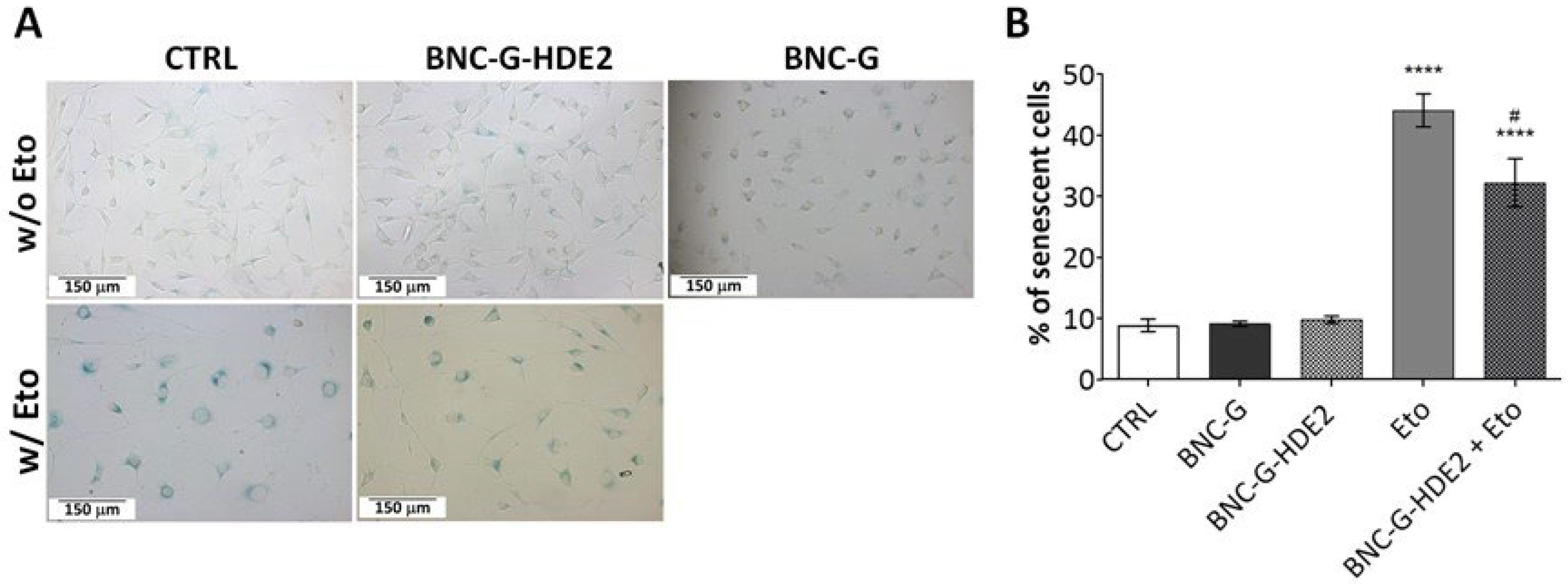 Materials 15 01982 g010 550
