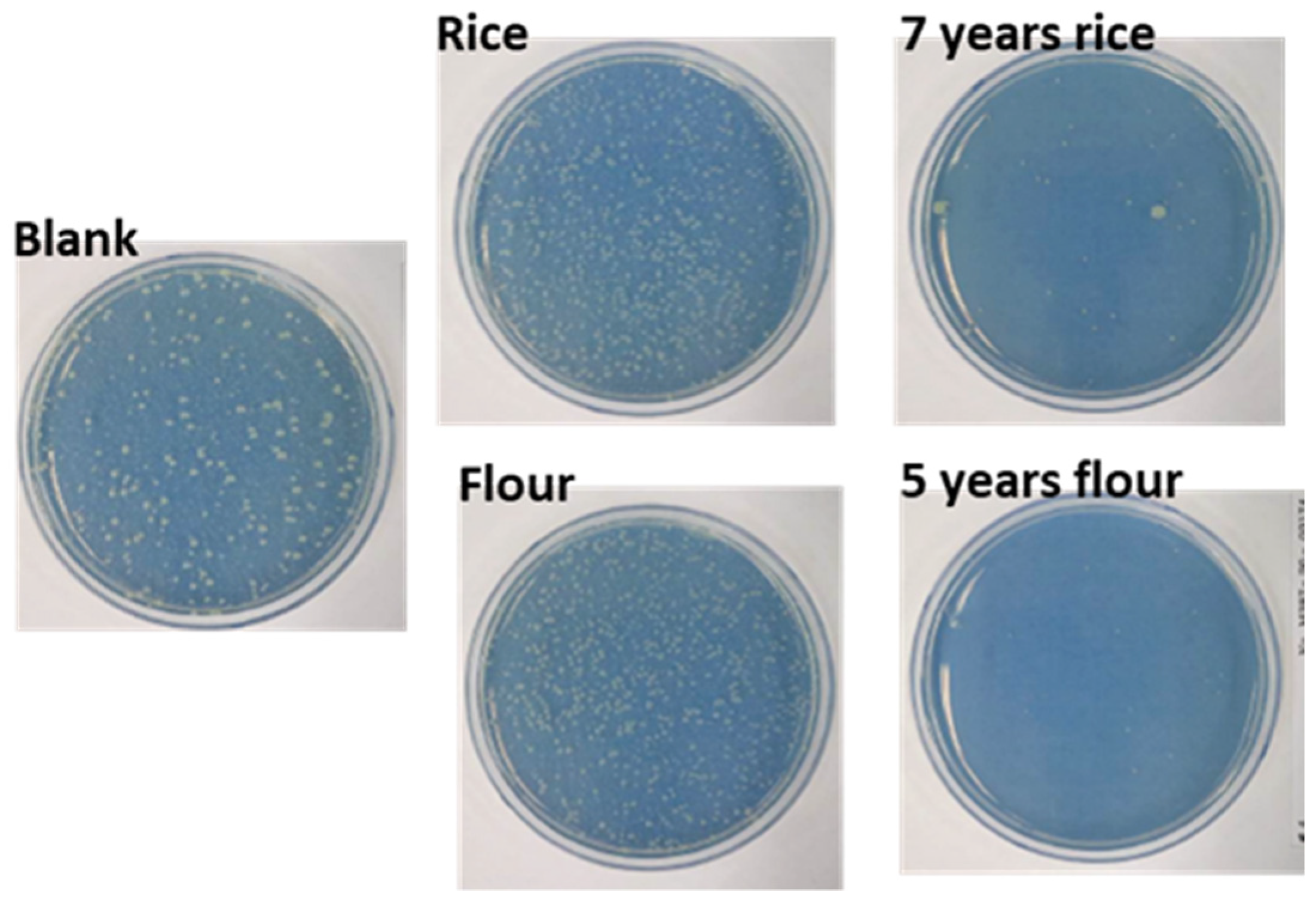 Materials 15 02001 g002