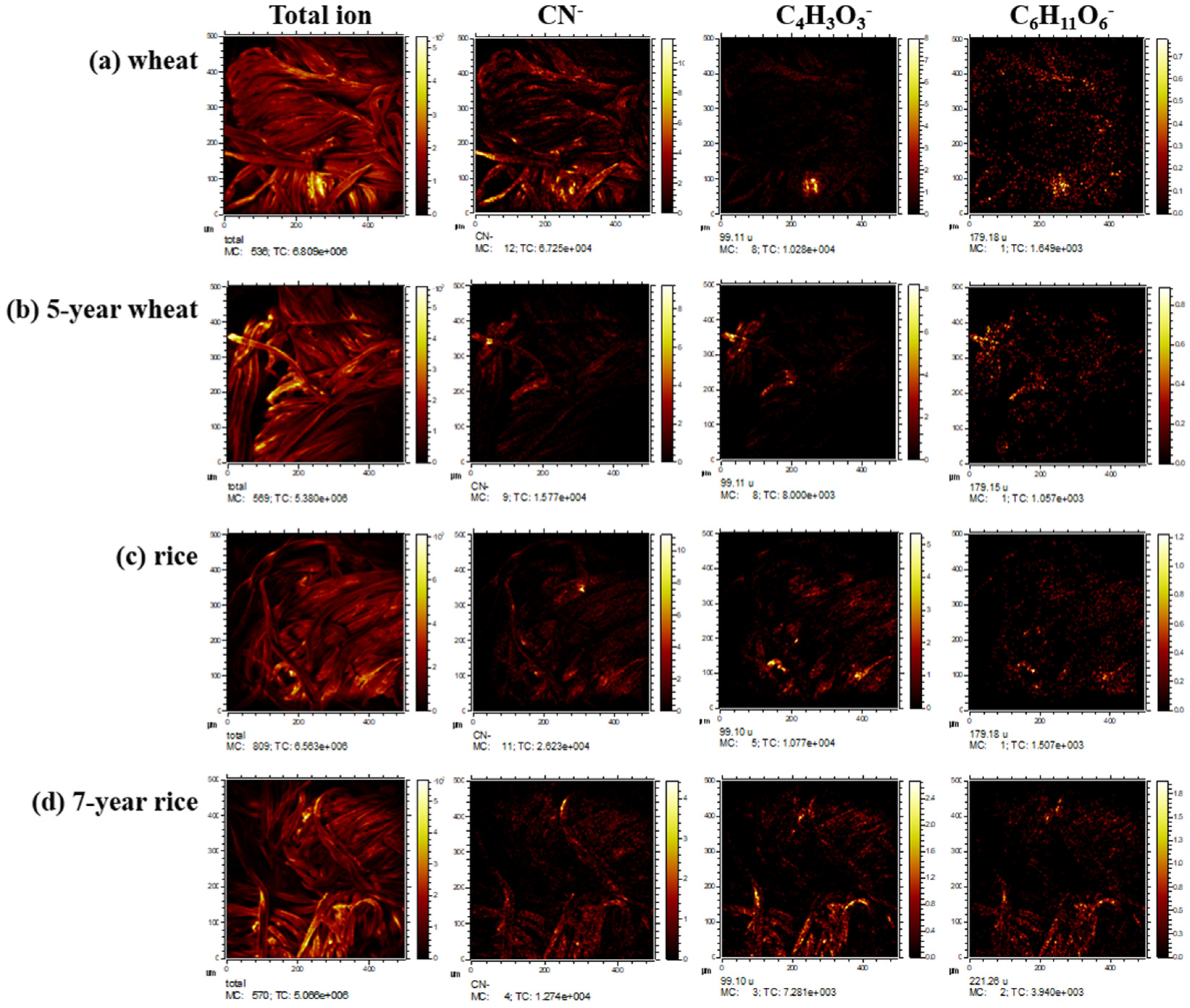 Materials 15 02001 g008