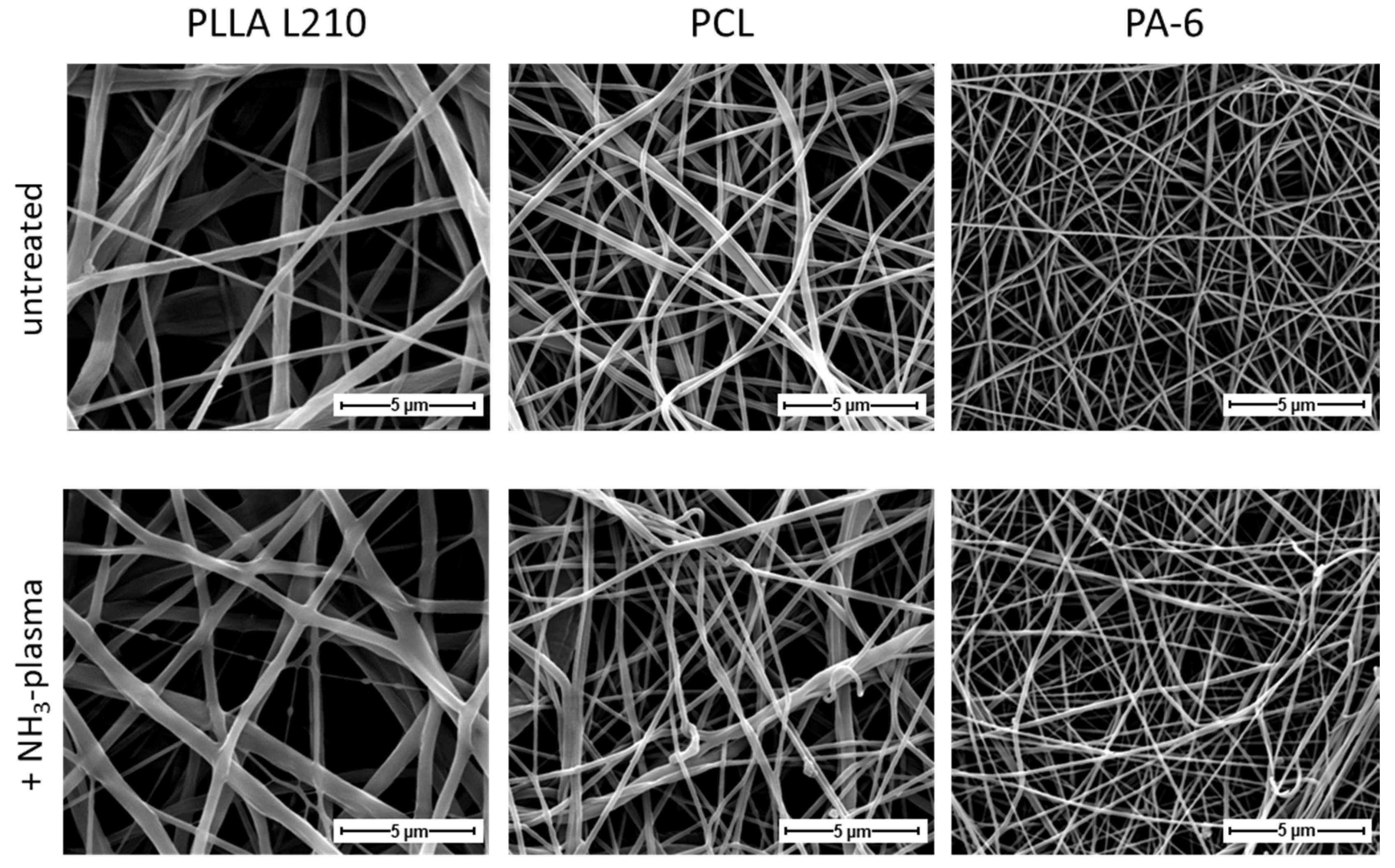 Materials 15 02014 g003 550