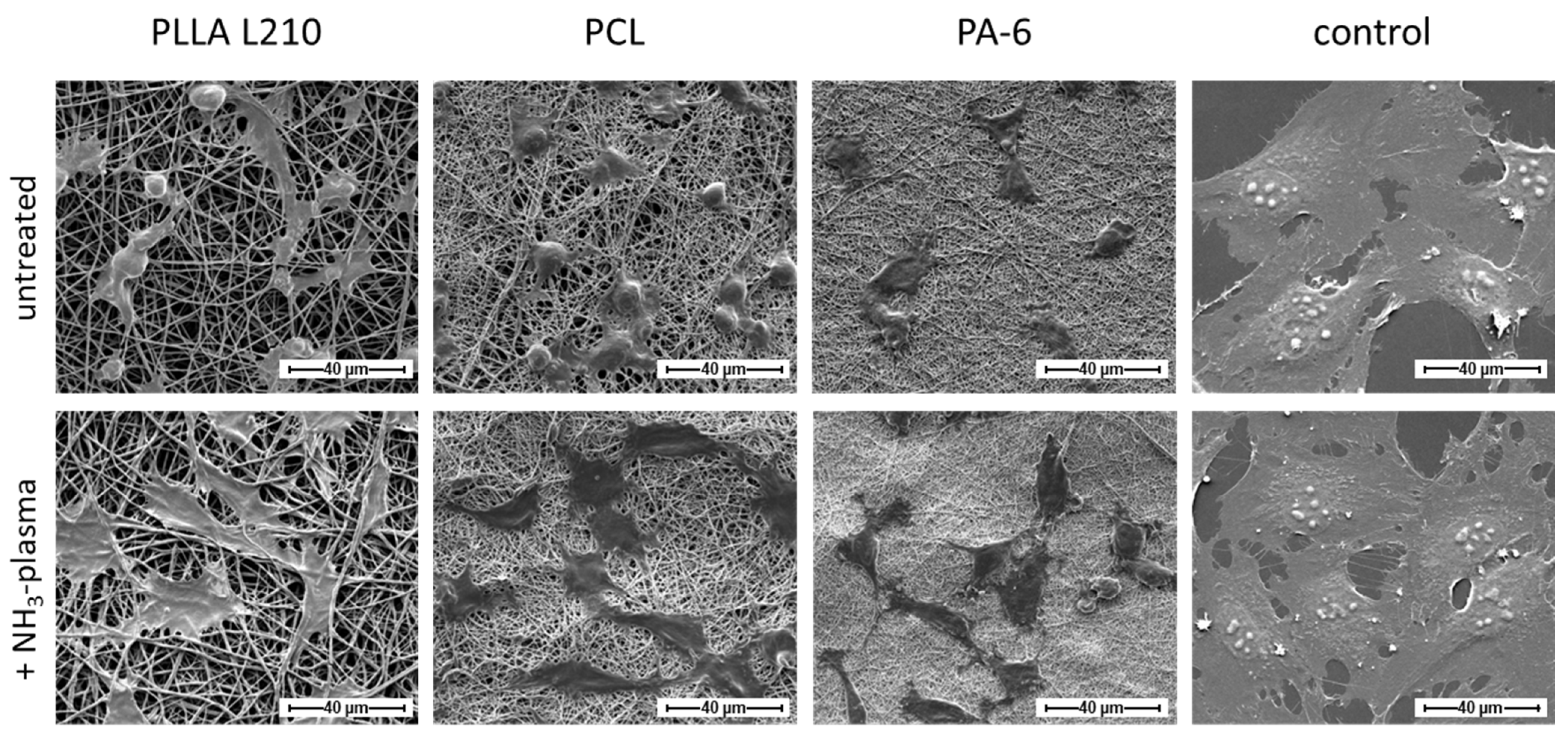 Materials 15 02014 g007 550