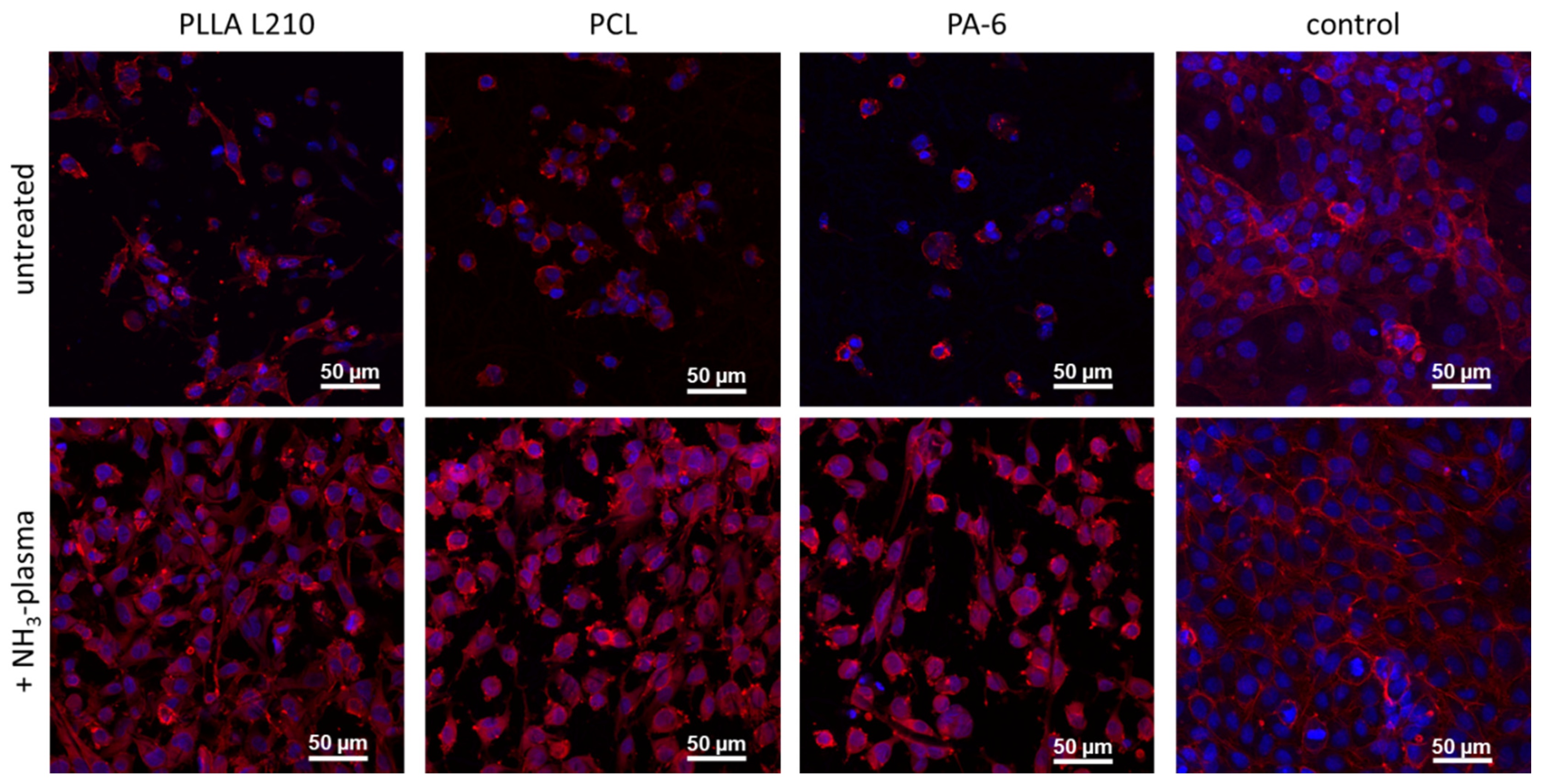 Materials 15 02014 g010 550