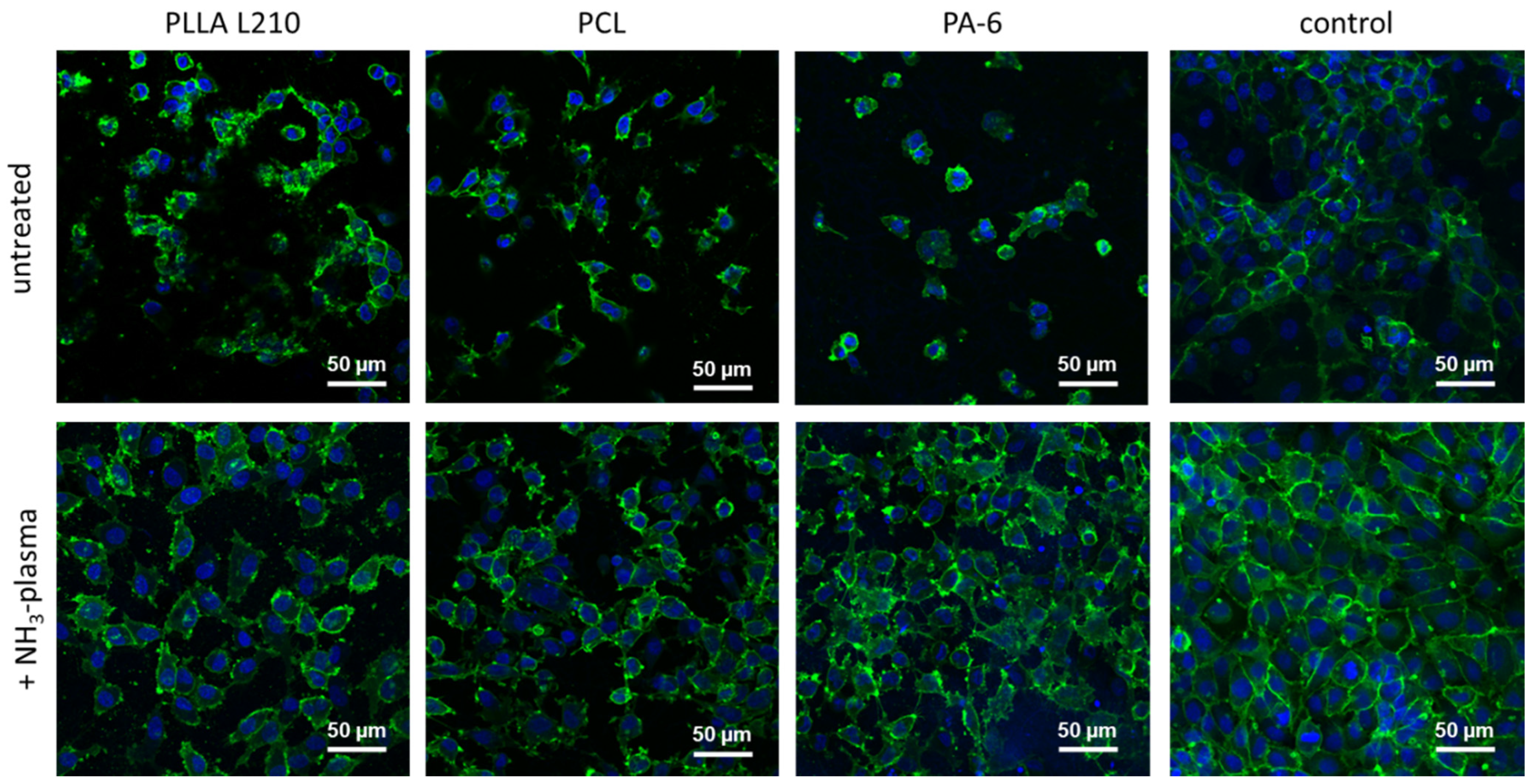 Materials 15 02014 g011 550