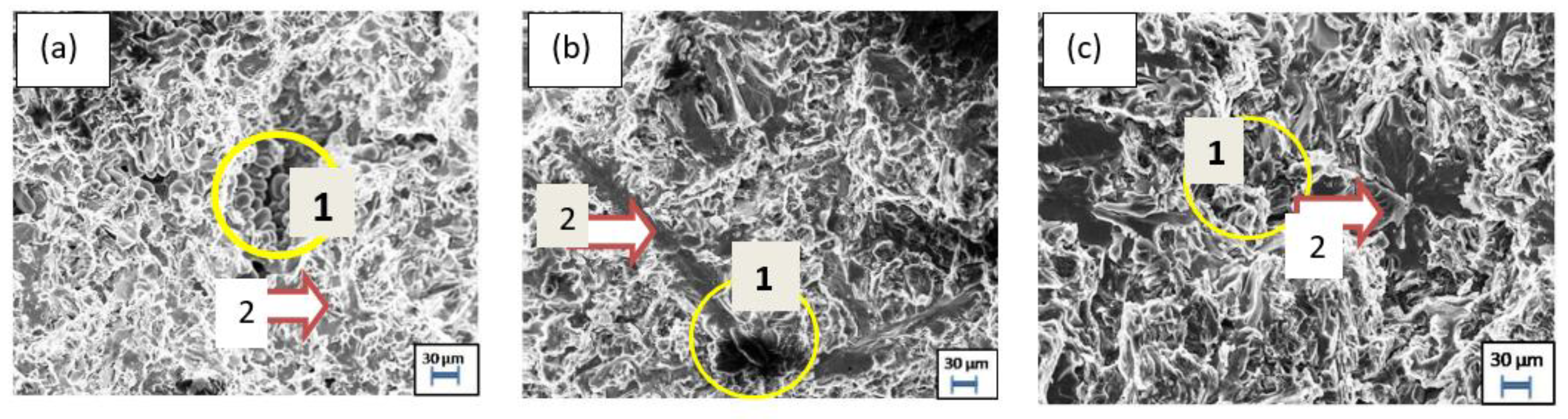 Materials 15 02015 g010 550