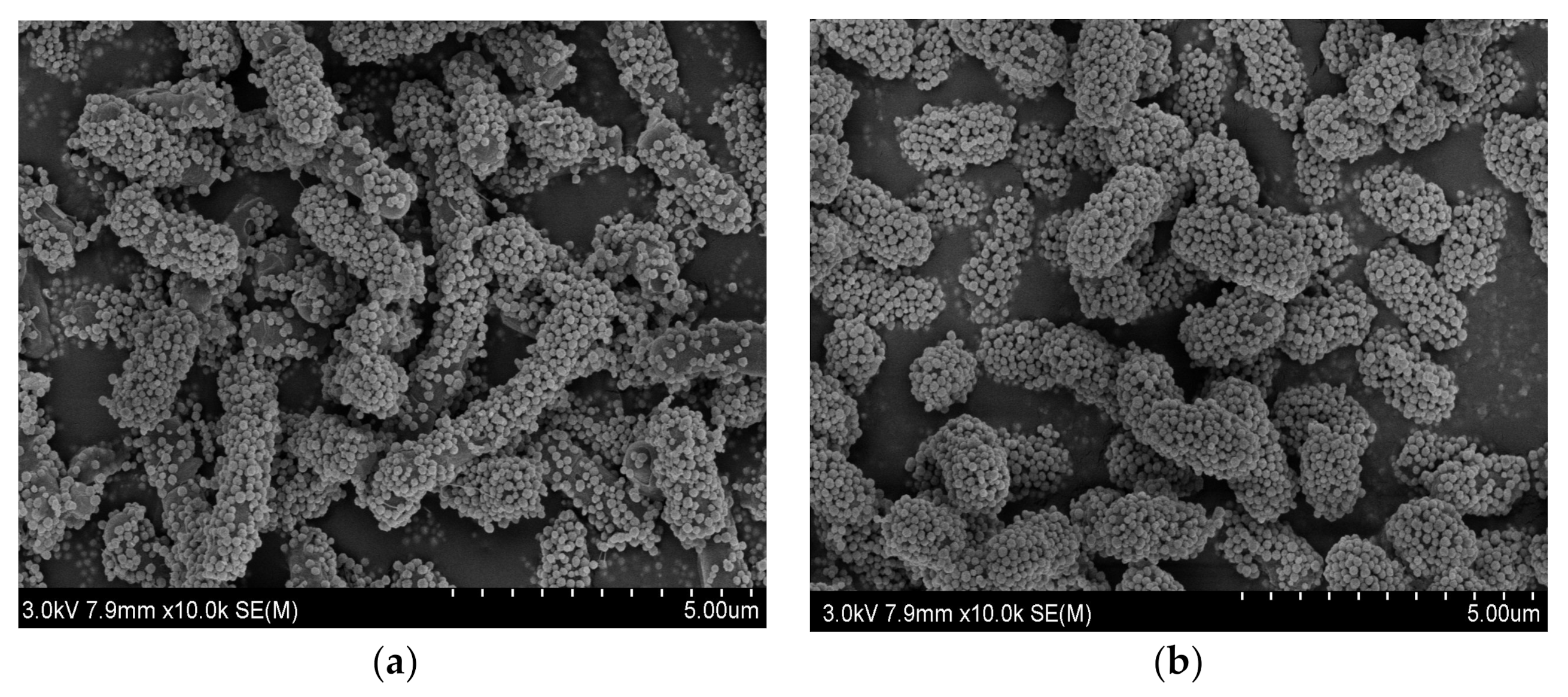 Materials 15 02039 g008