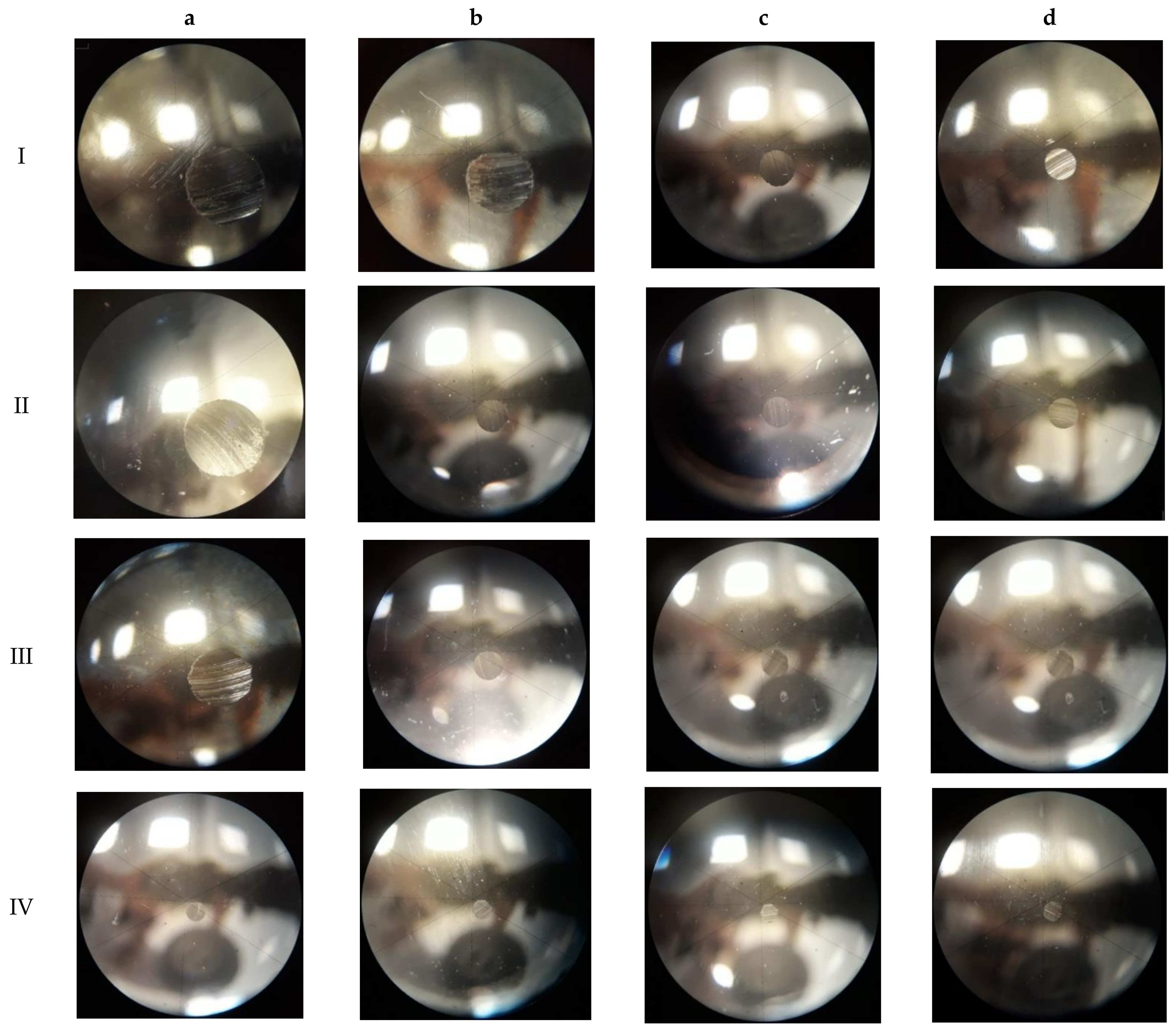 Materials 15 02052 g004