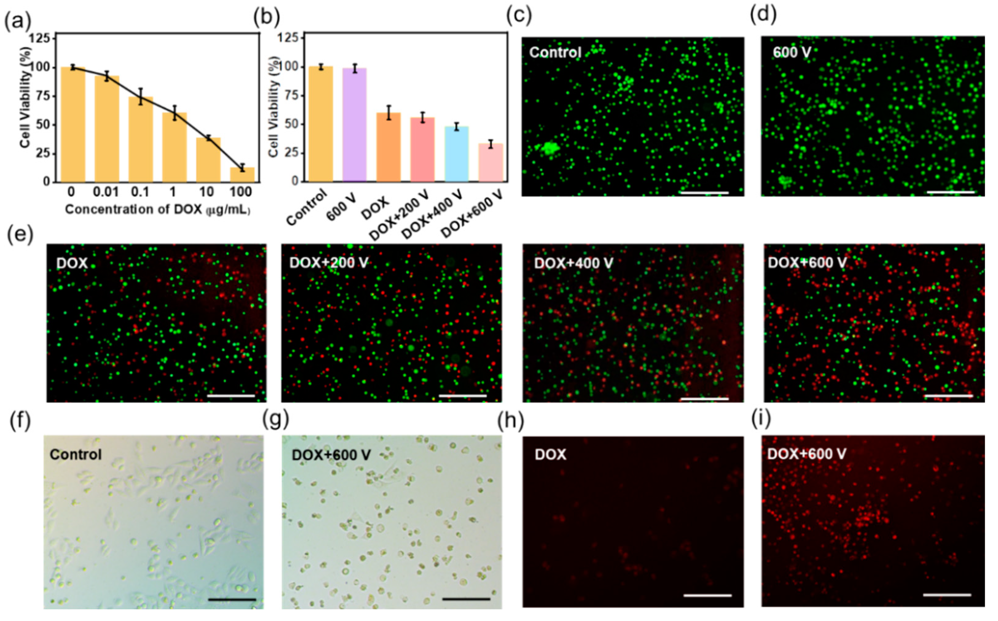 Materials 15 02060 g002