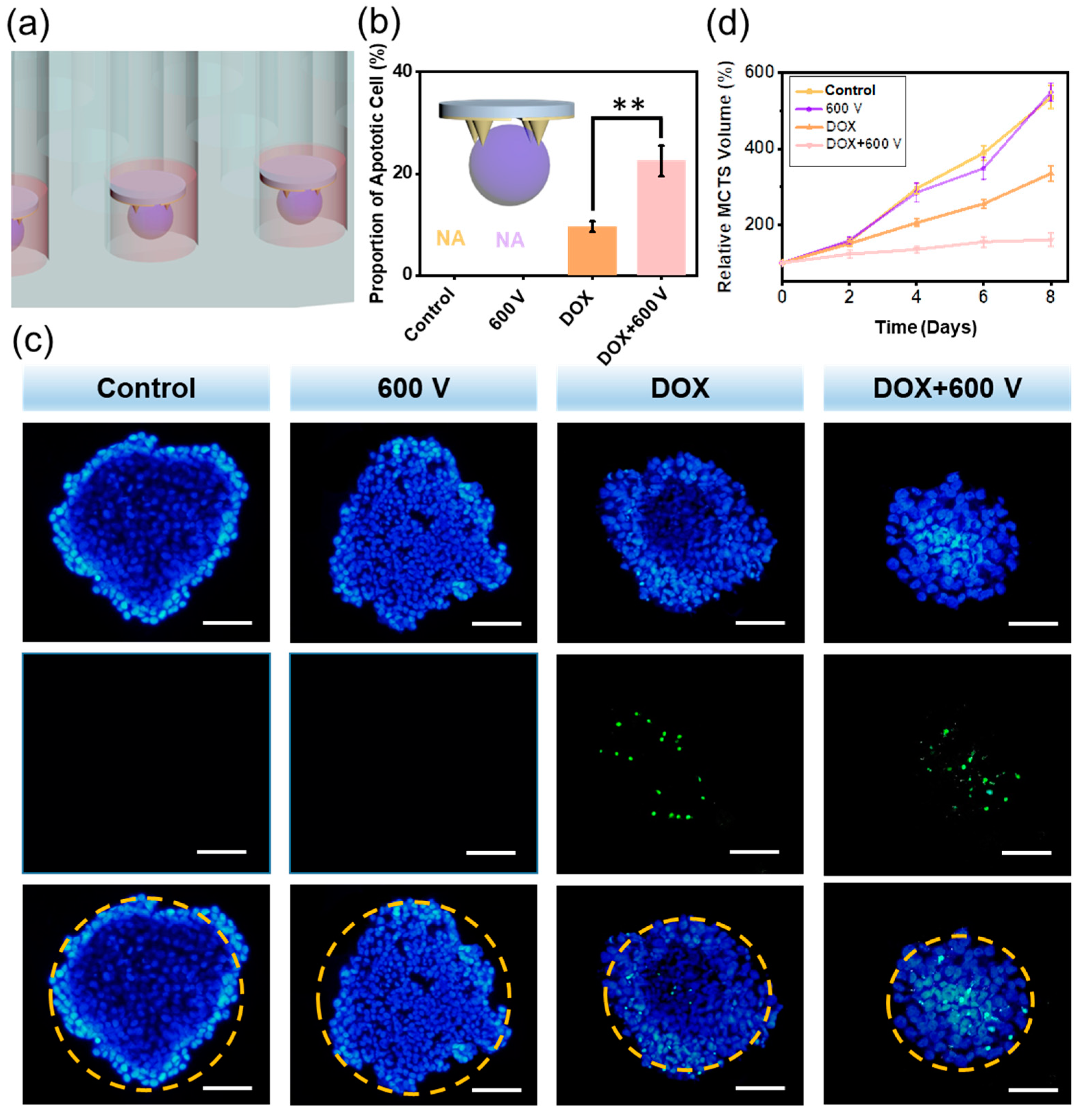 Materials 15 02060 g004