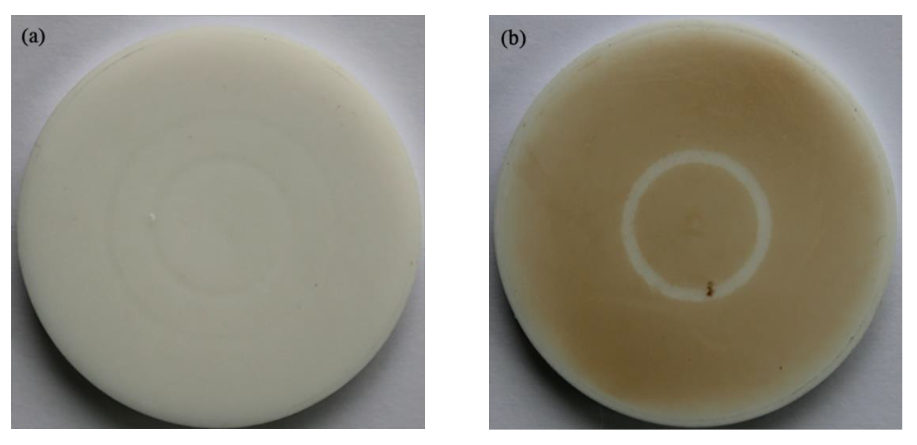 Materials 15 02063 g011