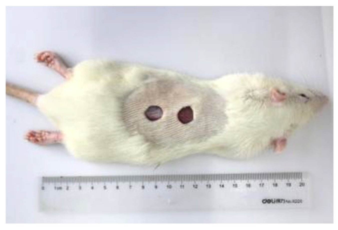 Materials 15 02070 g002