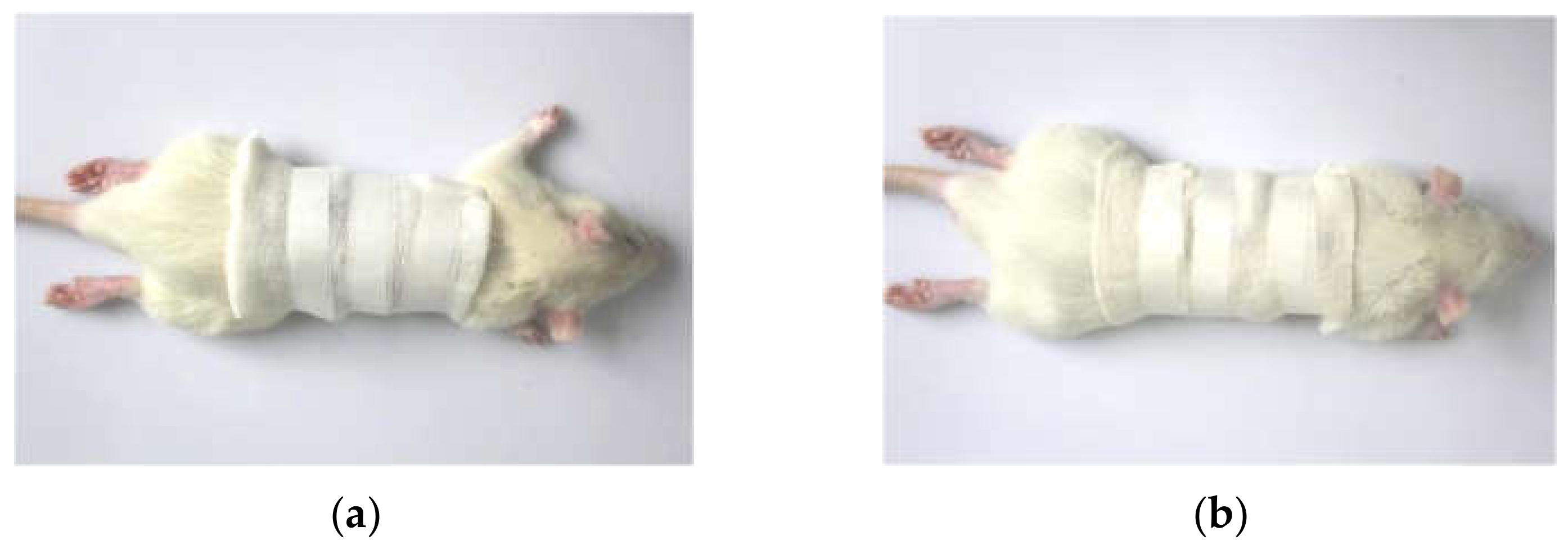 Materials 15 02070 g003