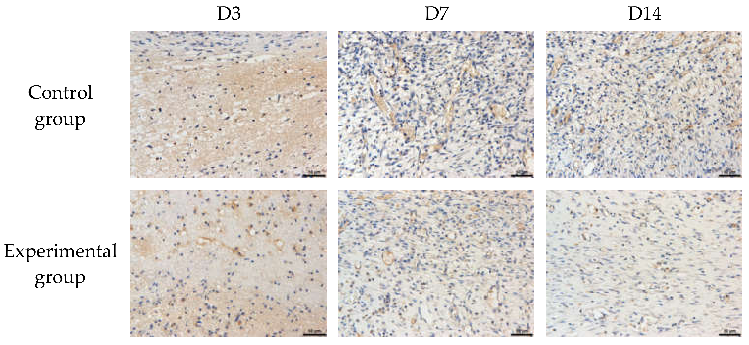 Materials 15 02070 g010