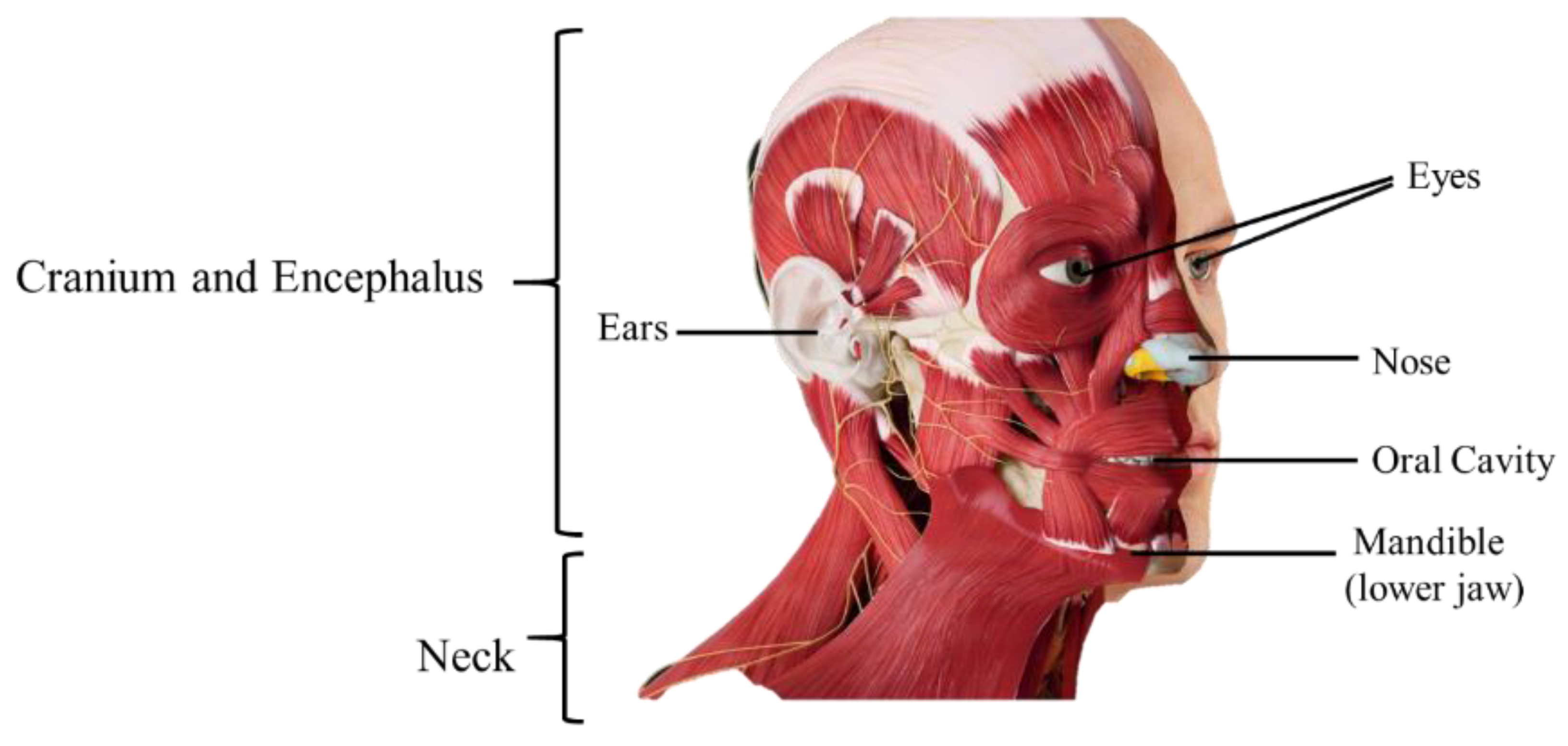 Materials 15 02086 g001