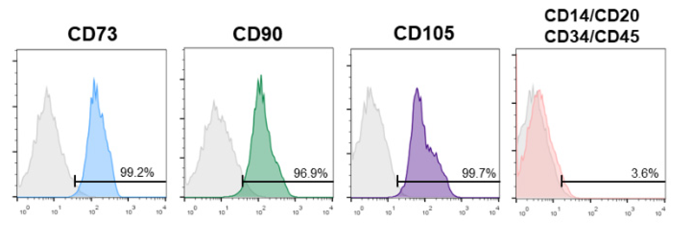 Materials 15 02104 g001
