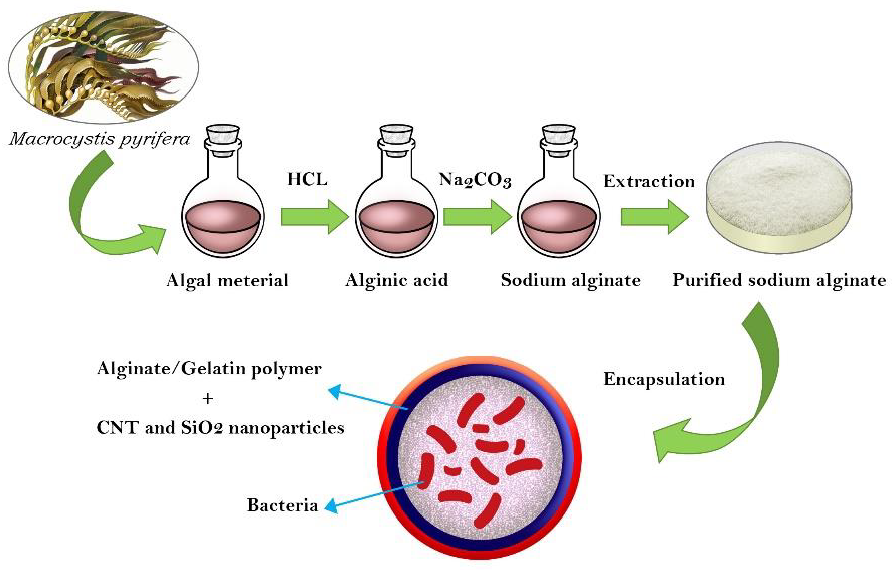 Materials 15 02114 g001 Materials 15 02114 g001