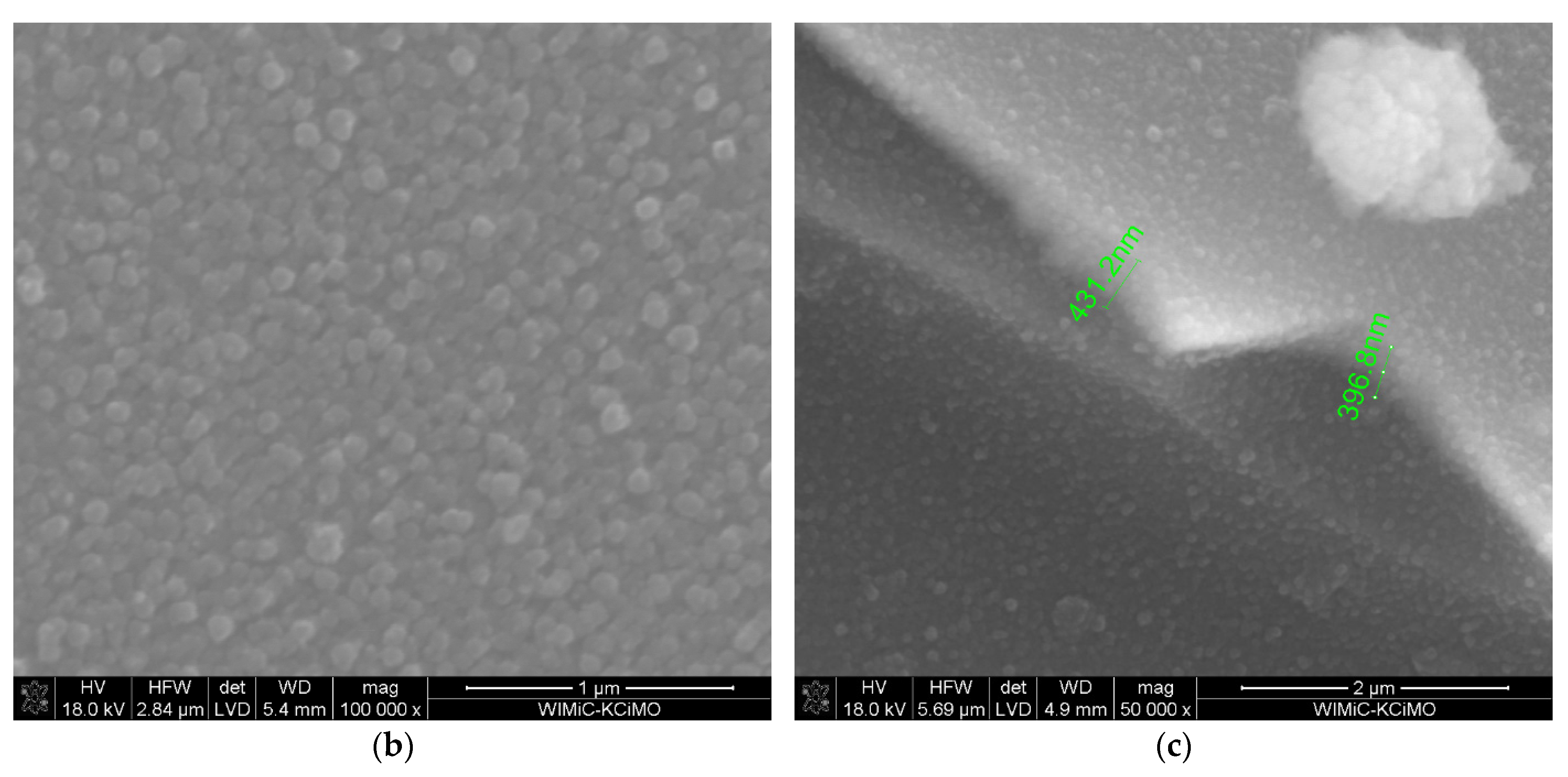 Materials 15 02120 g004b 550