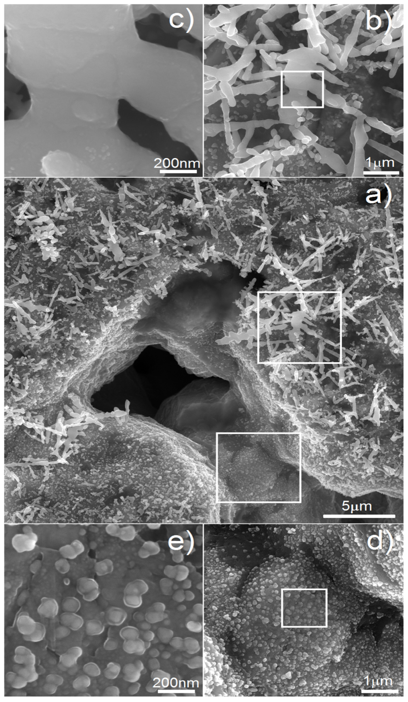 Materials 15 02130 g007 550