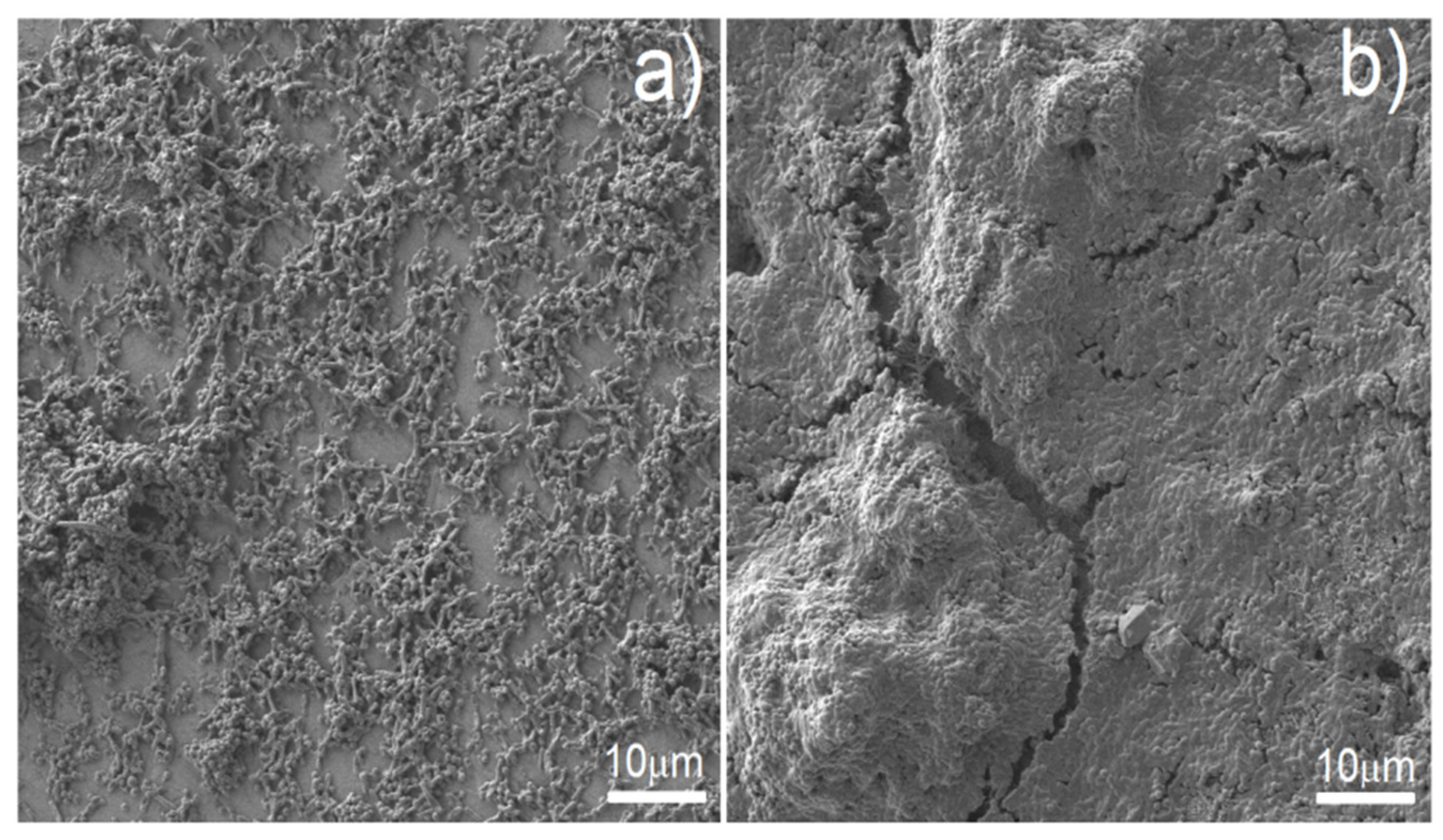 Materials 15 02130 g011 550