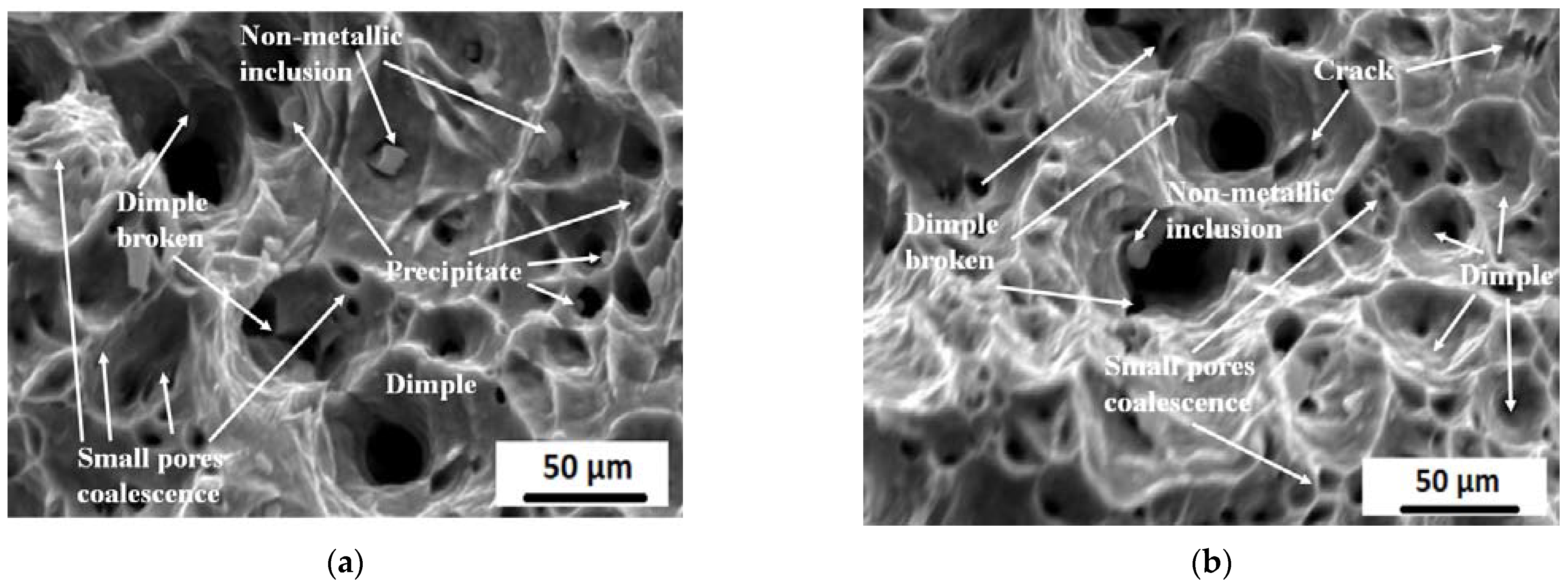 Materials 15 02136 g017