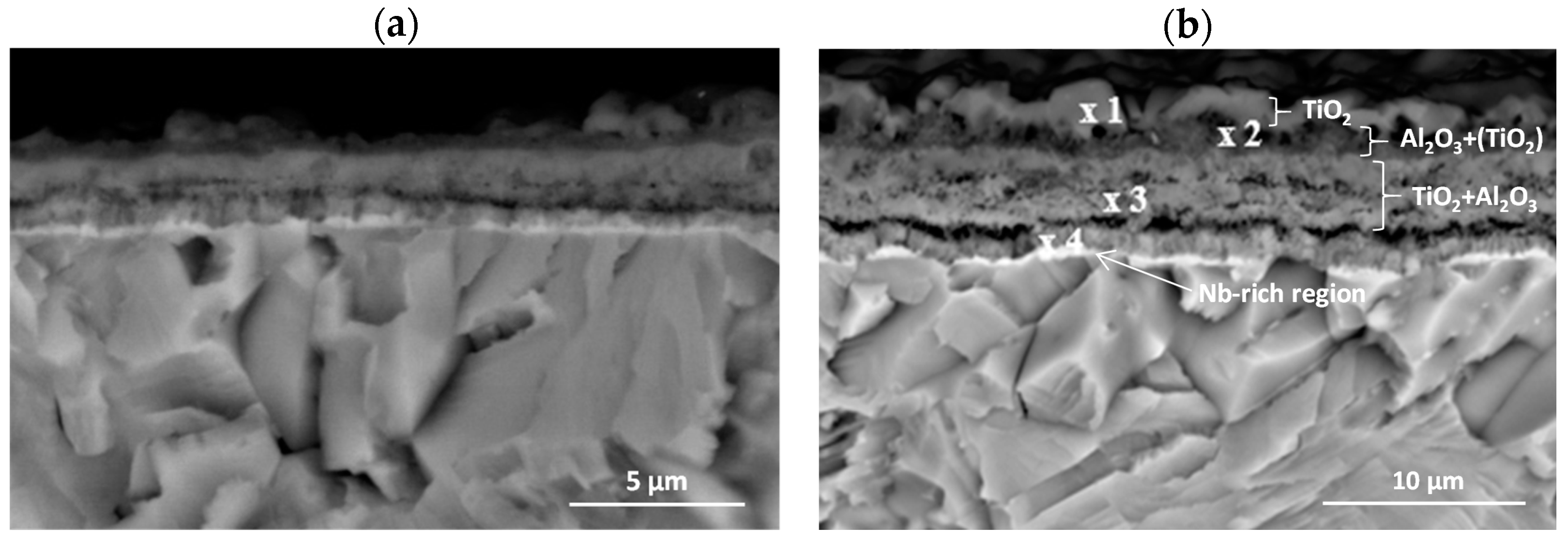 Materials 15 02137 g008