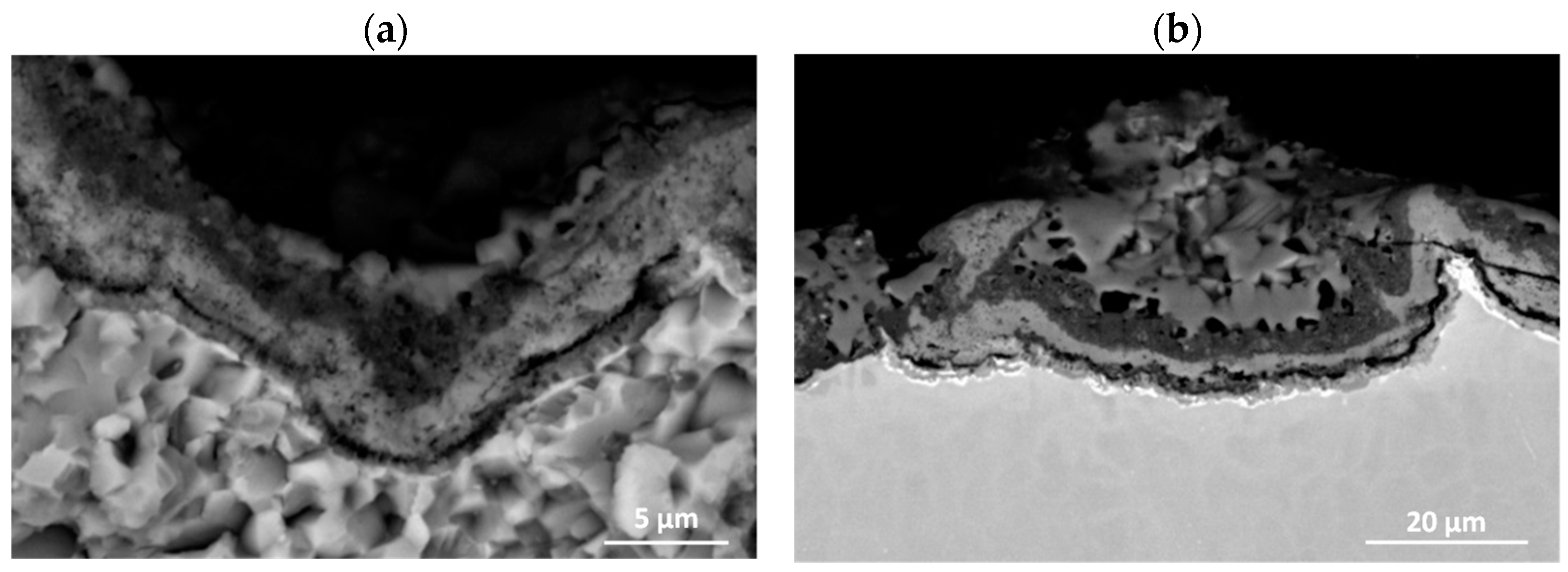 Materials 15 02137 g020