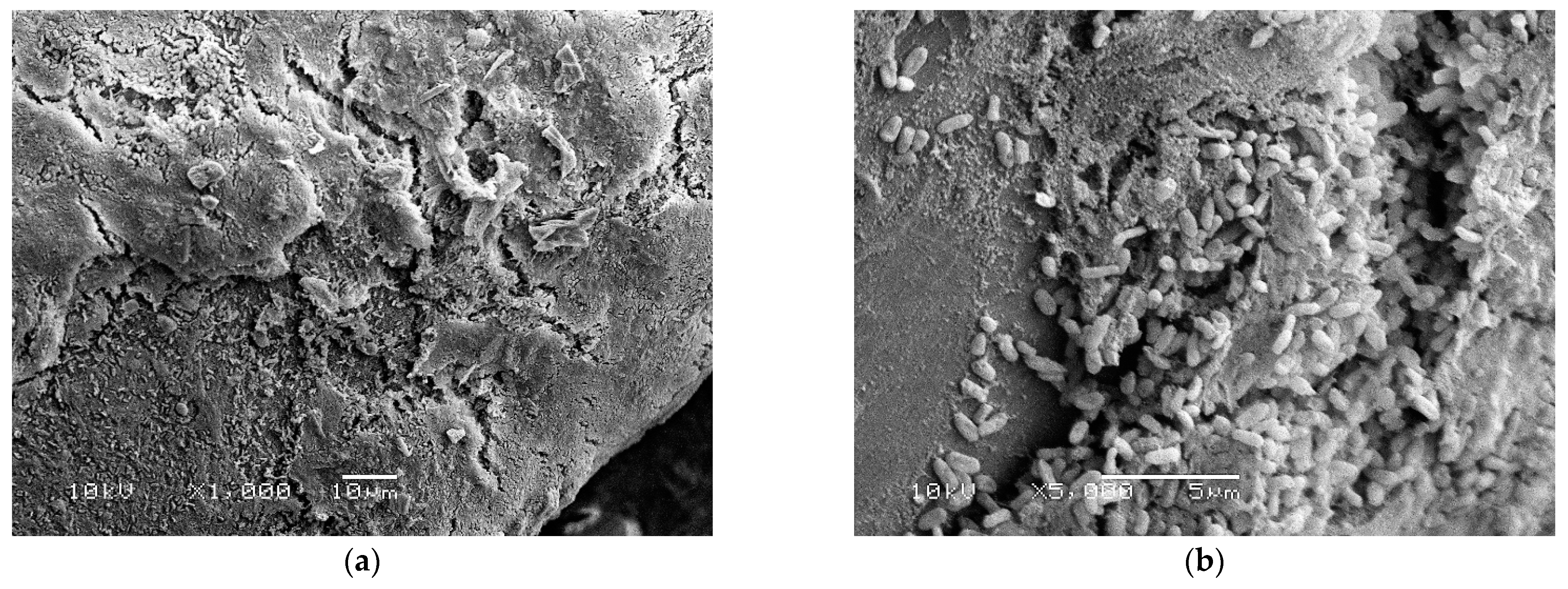 Materials 15 02139 g002