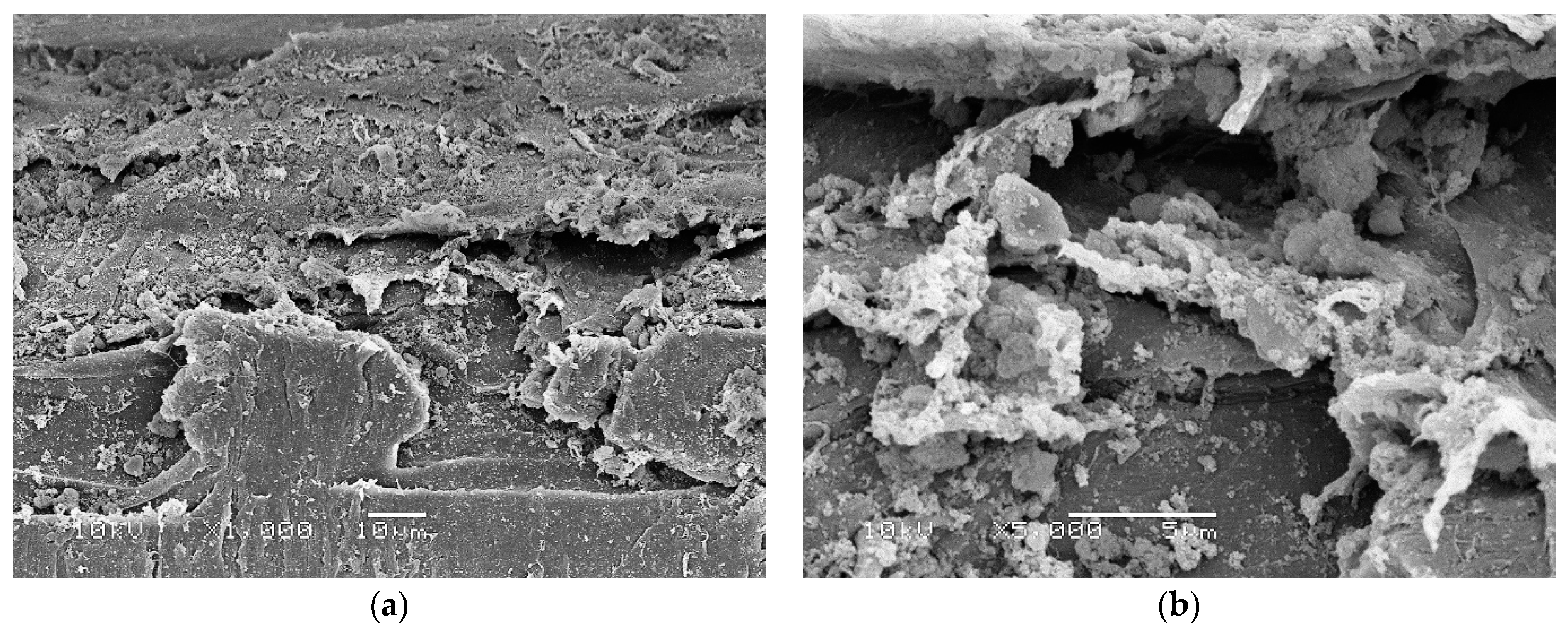 Materials 15 02139 g003