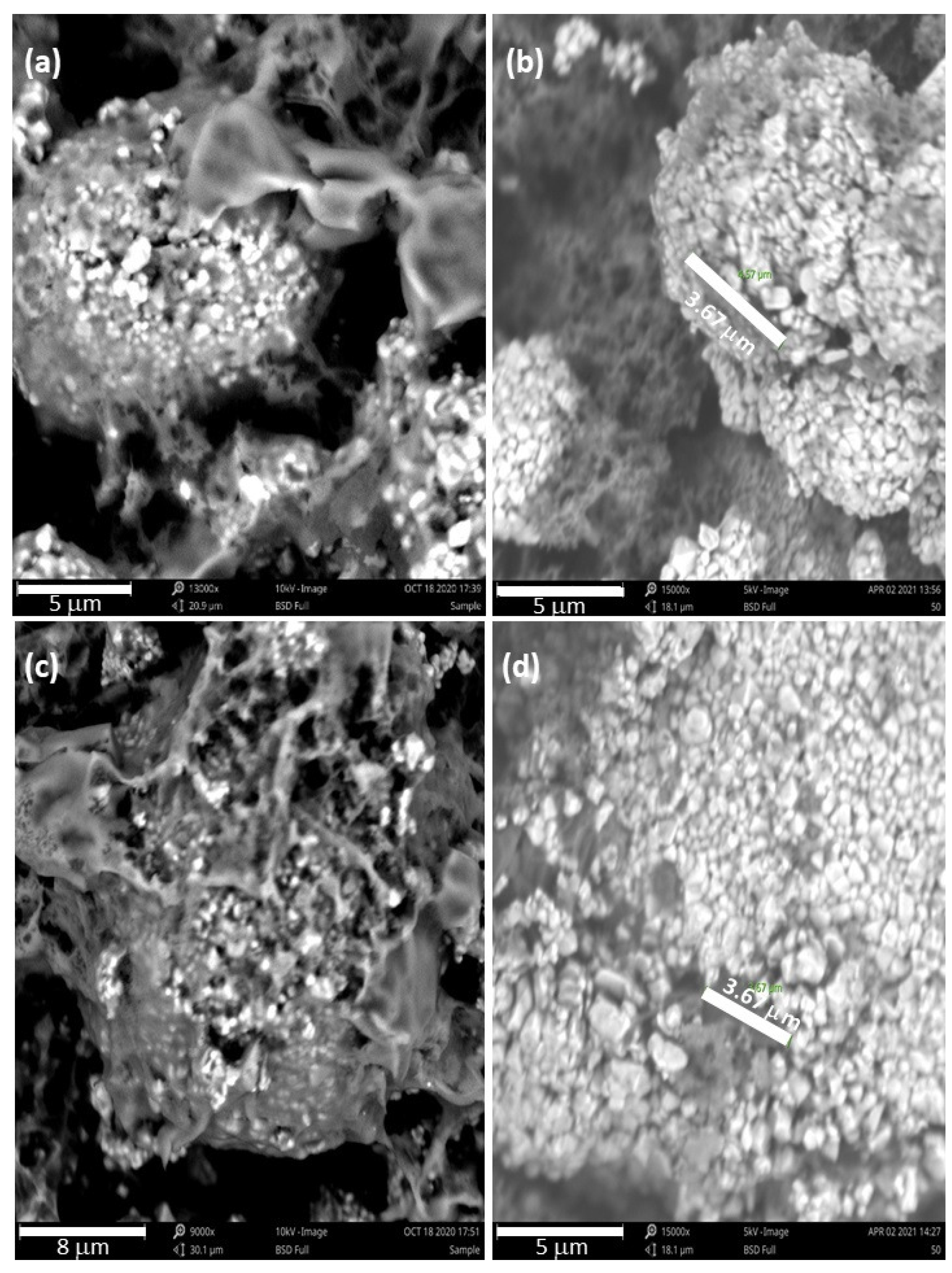 Materials 15 02146 g007 550