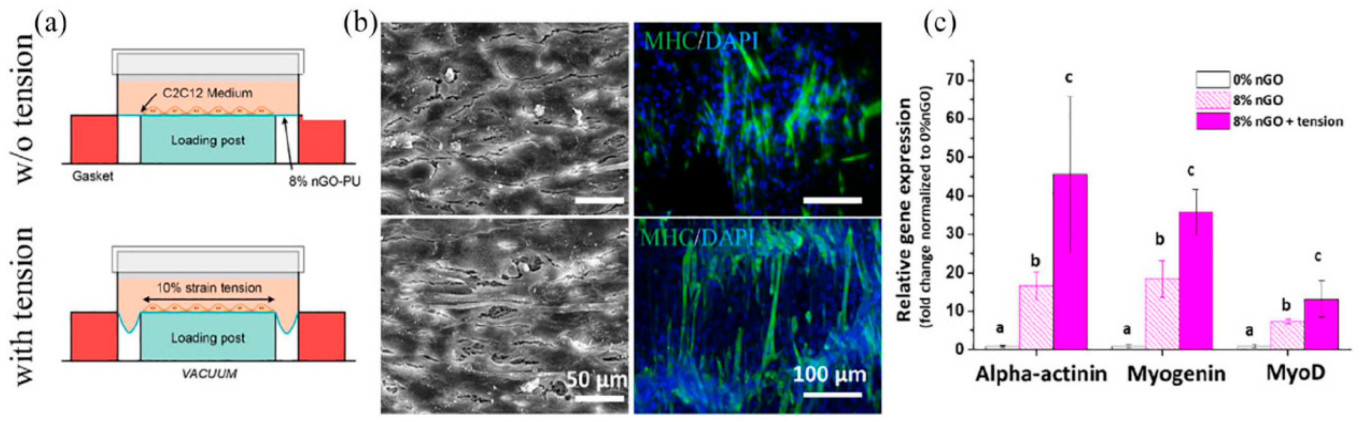 Materials 15 02164 g010 550
