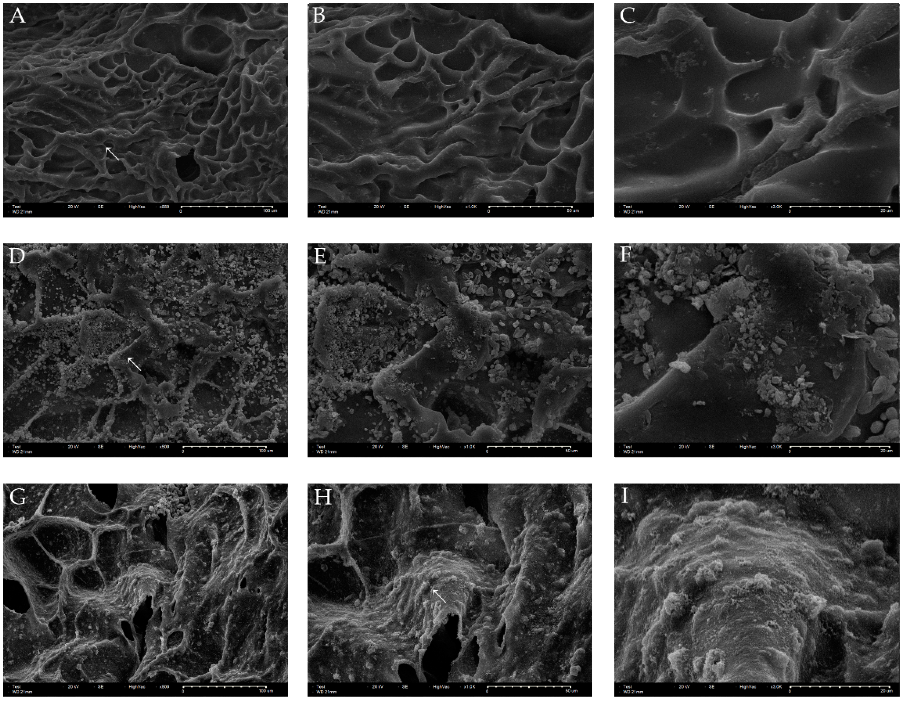 Materials 15 02170 g003