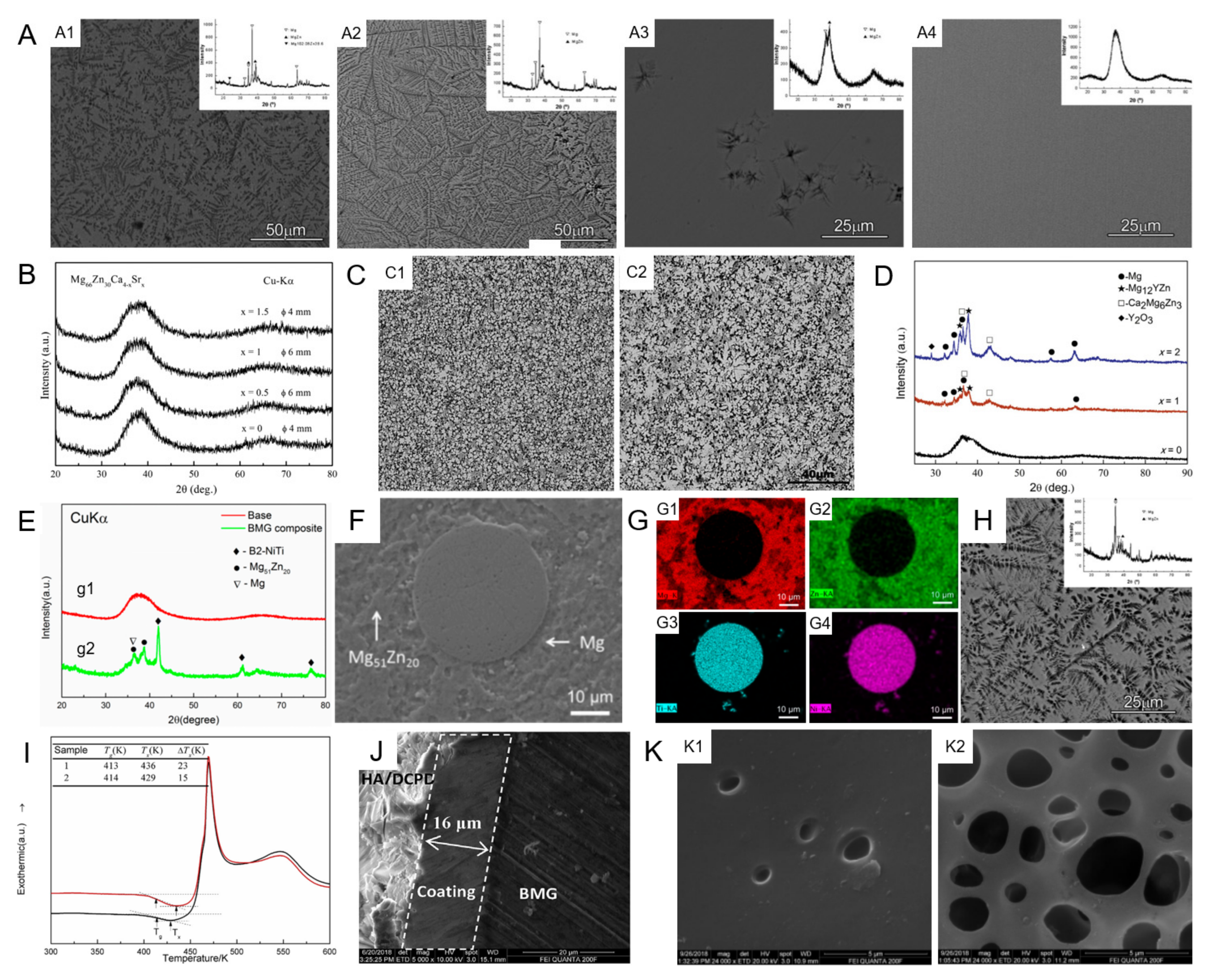 定番のお歳暮&冬ギフトの商品をすべ Biodegradable Mg–Zn–Ca-Based Metallic Glasses 靴