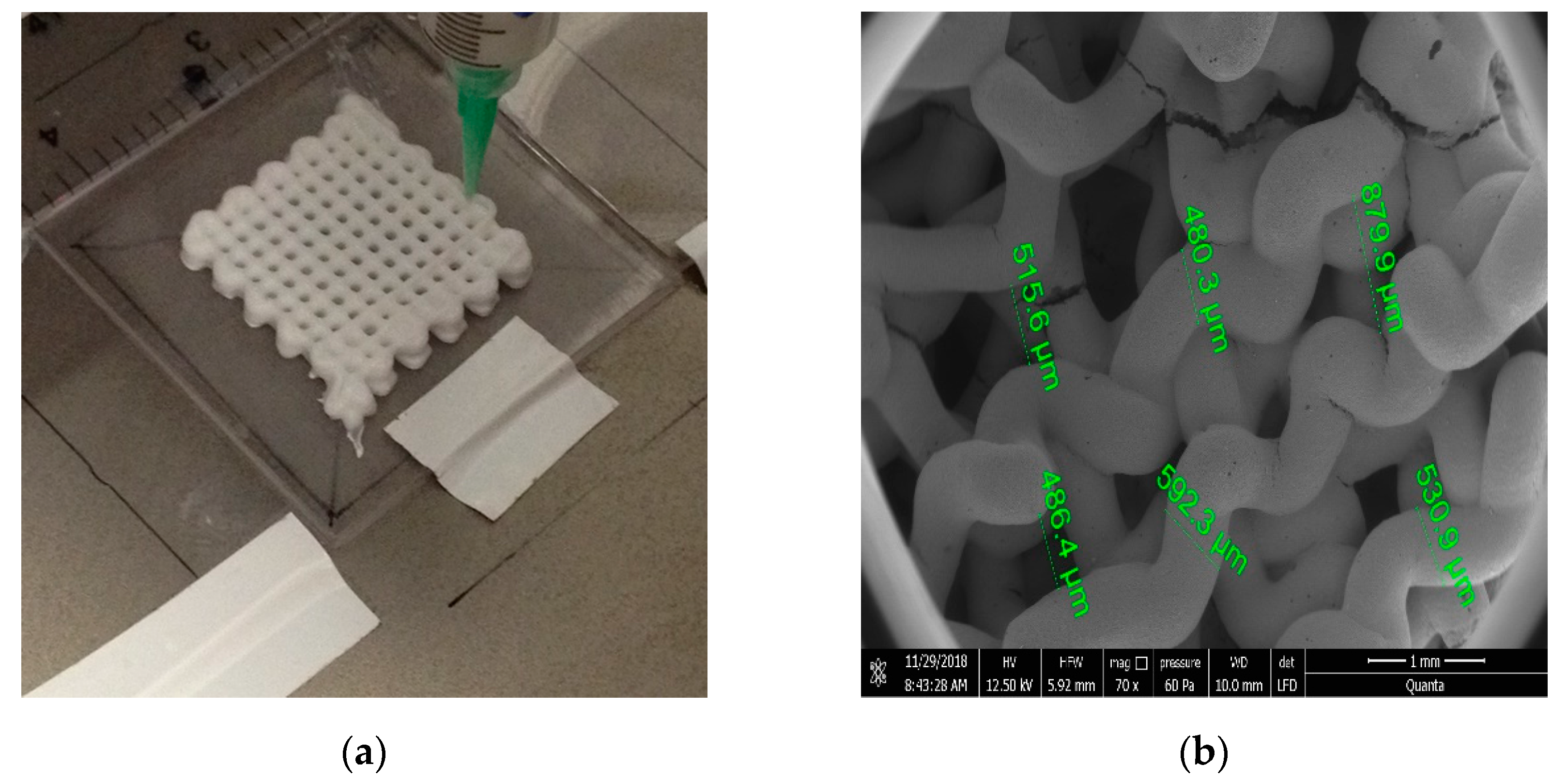 Materials 15 02183 g002 Materials 15 02183 g002