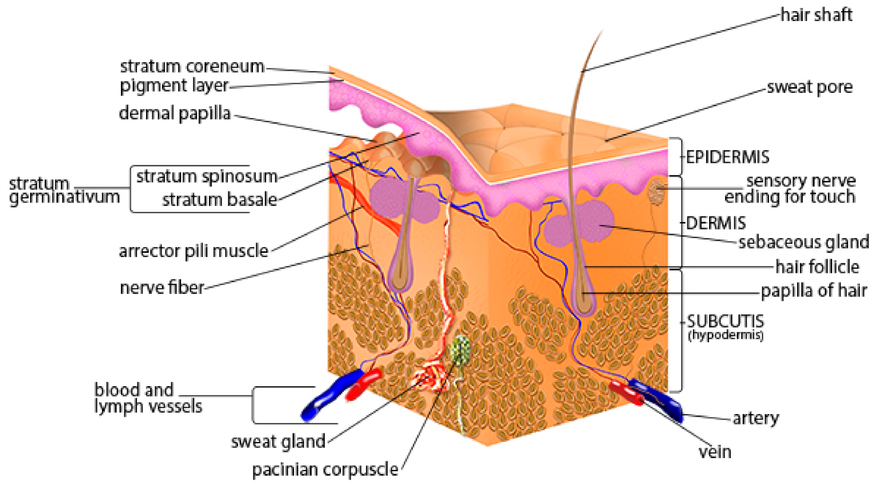 Materials 15 02184 g002