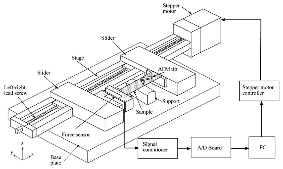 Materials 15 02184 g006