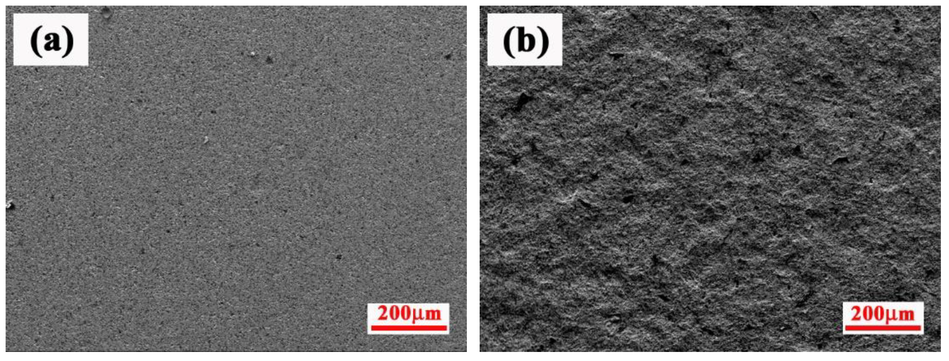 Materials 15 02217 g001 550