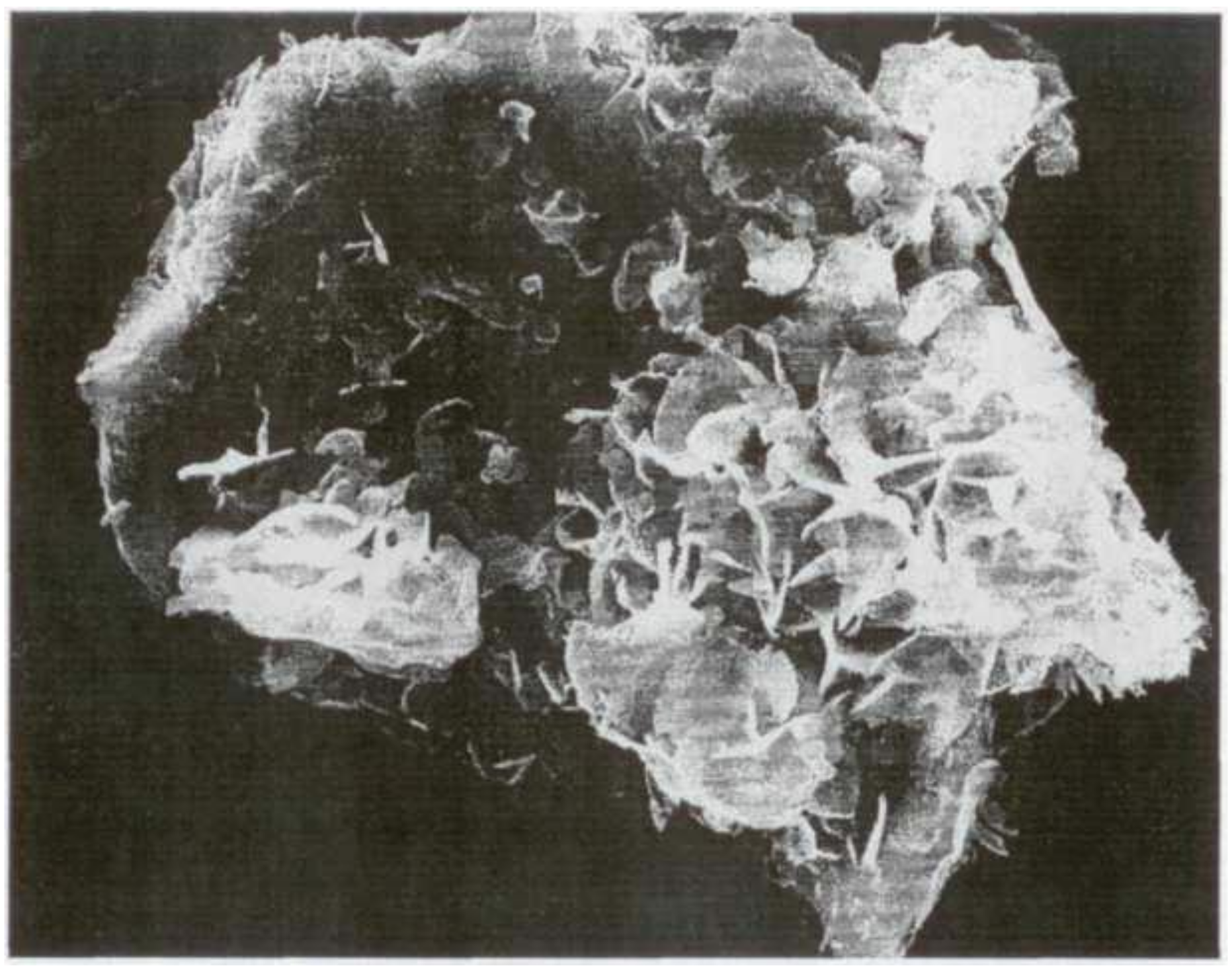 Materials 15 02220 g004