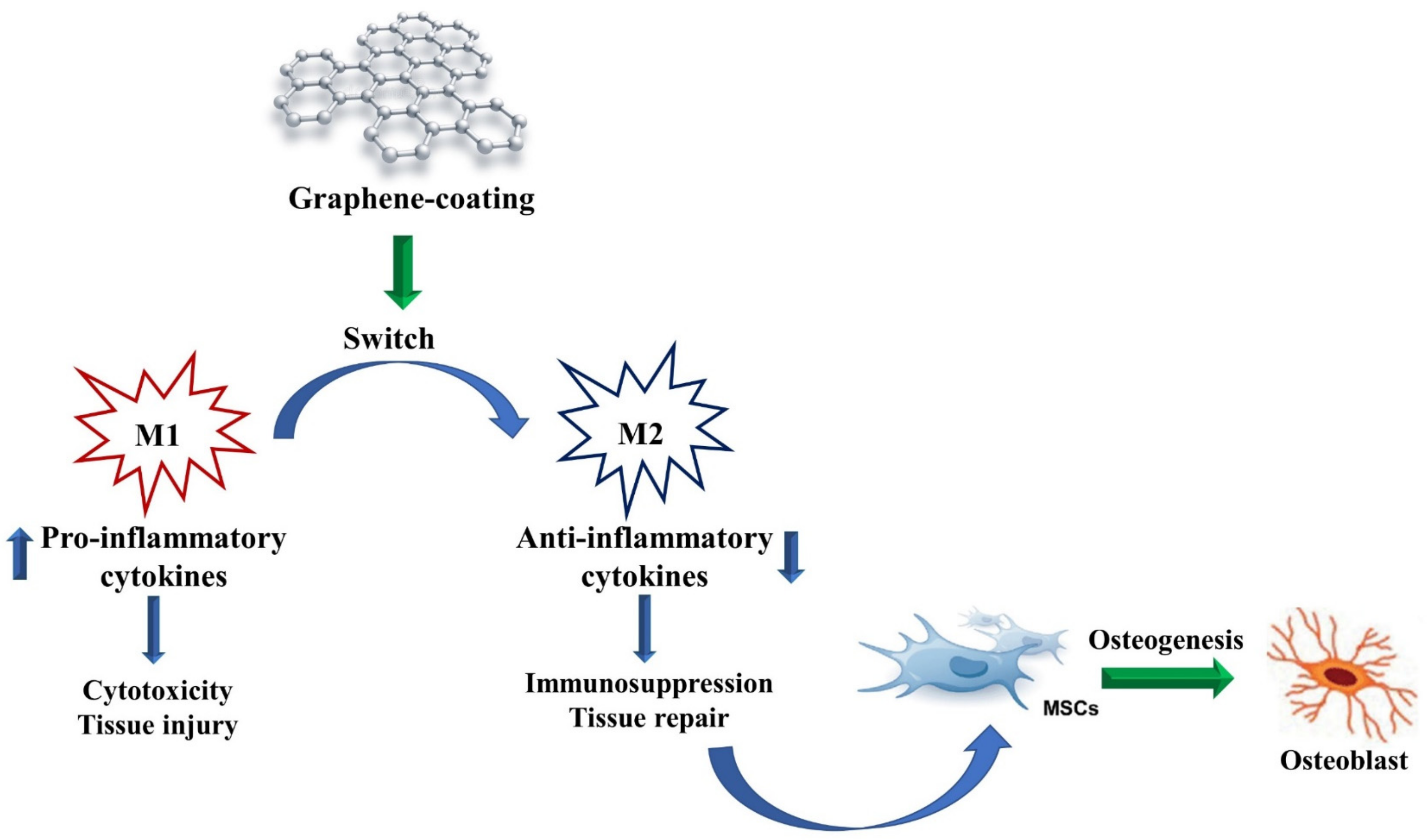 Materials 15 02229 g004 Materials 15 02229 g004