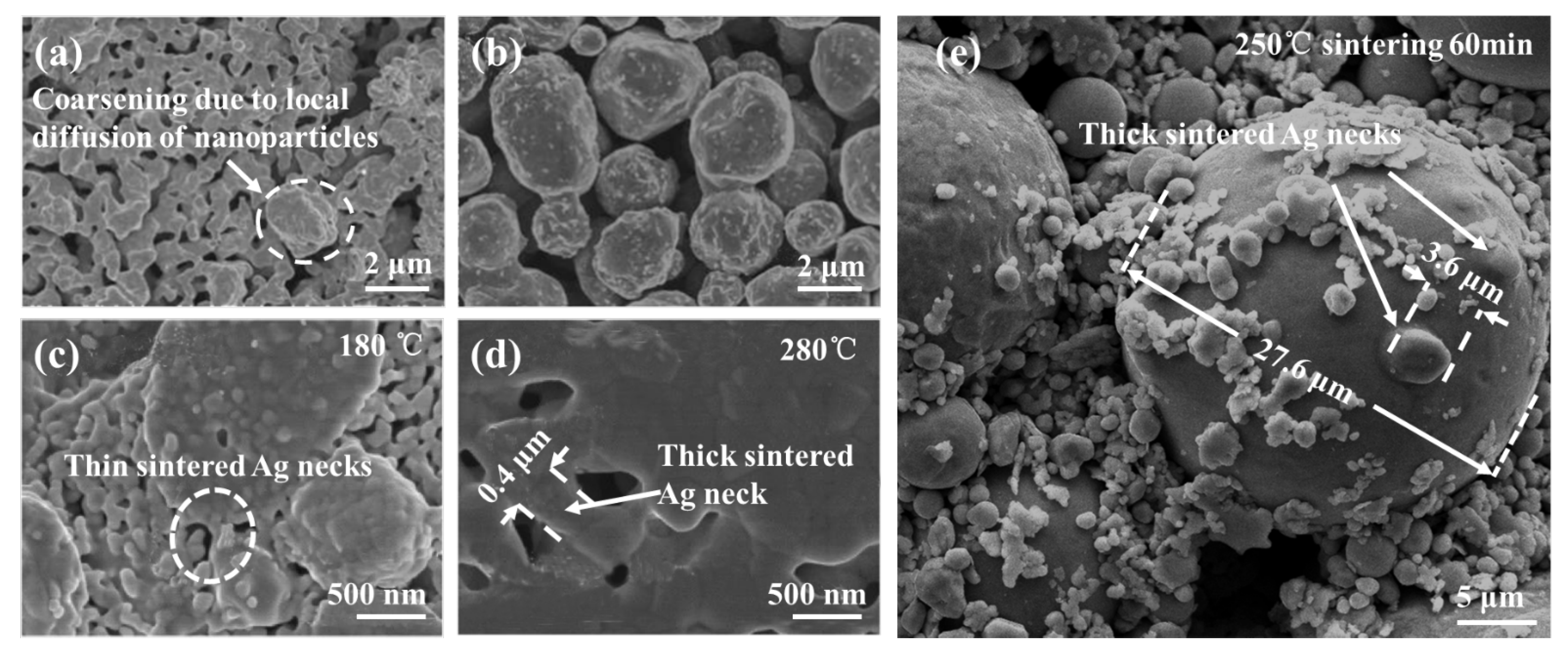 Modeling and Simulation of Sintering Process Across Scales