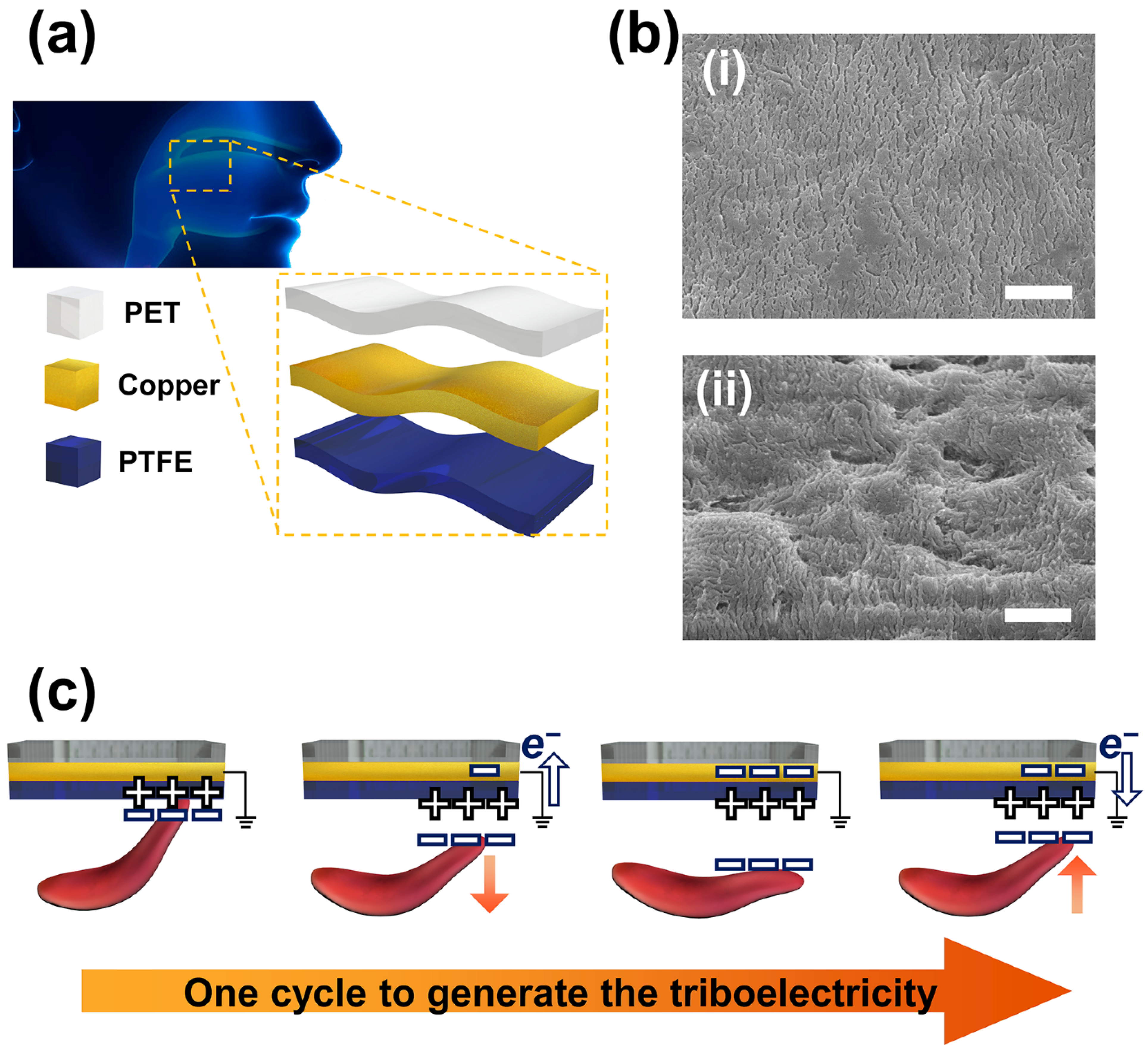 Materials 15 02240 g001