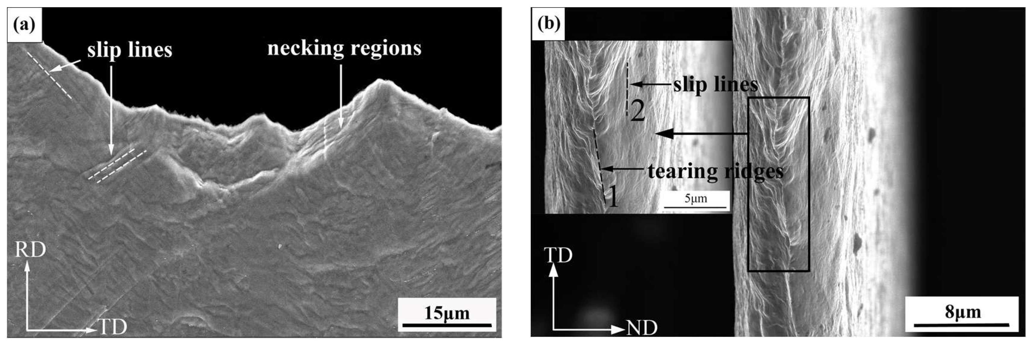 Materials 15 02249 g012