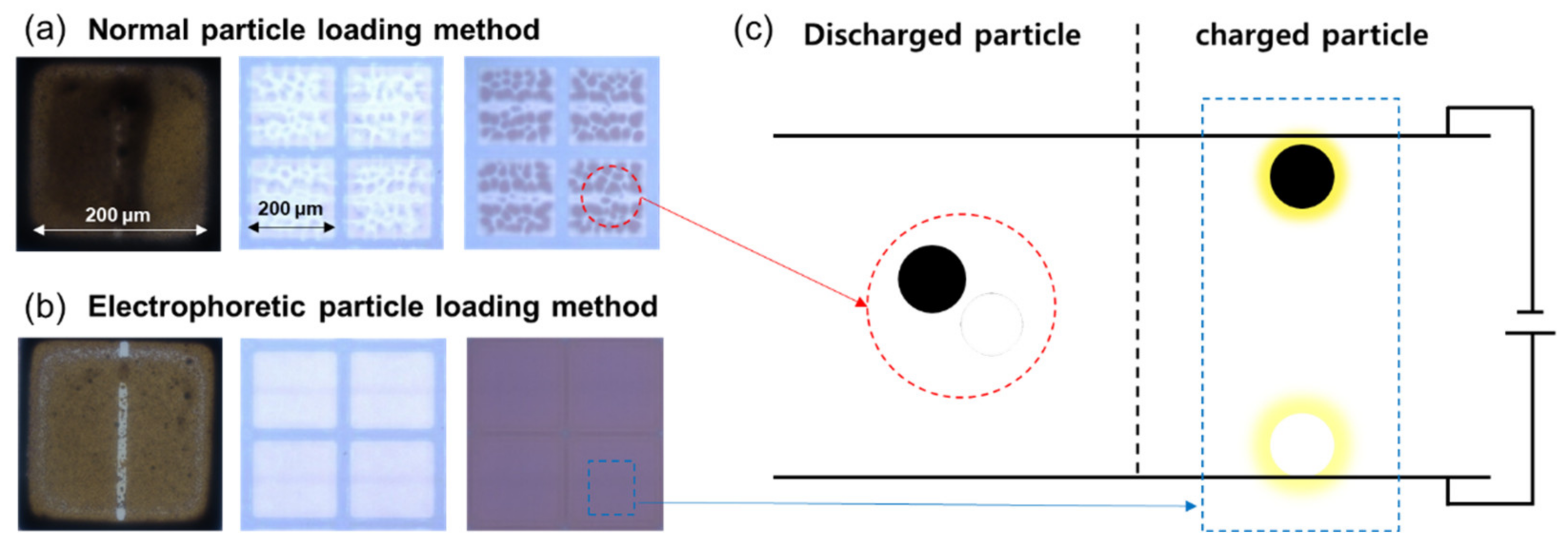 Materials 15 02289 g004 550