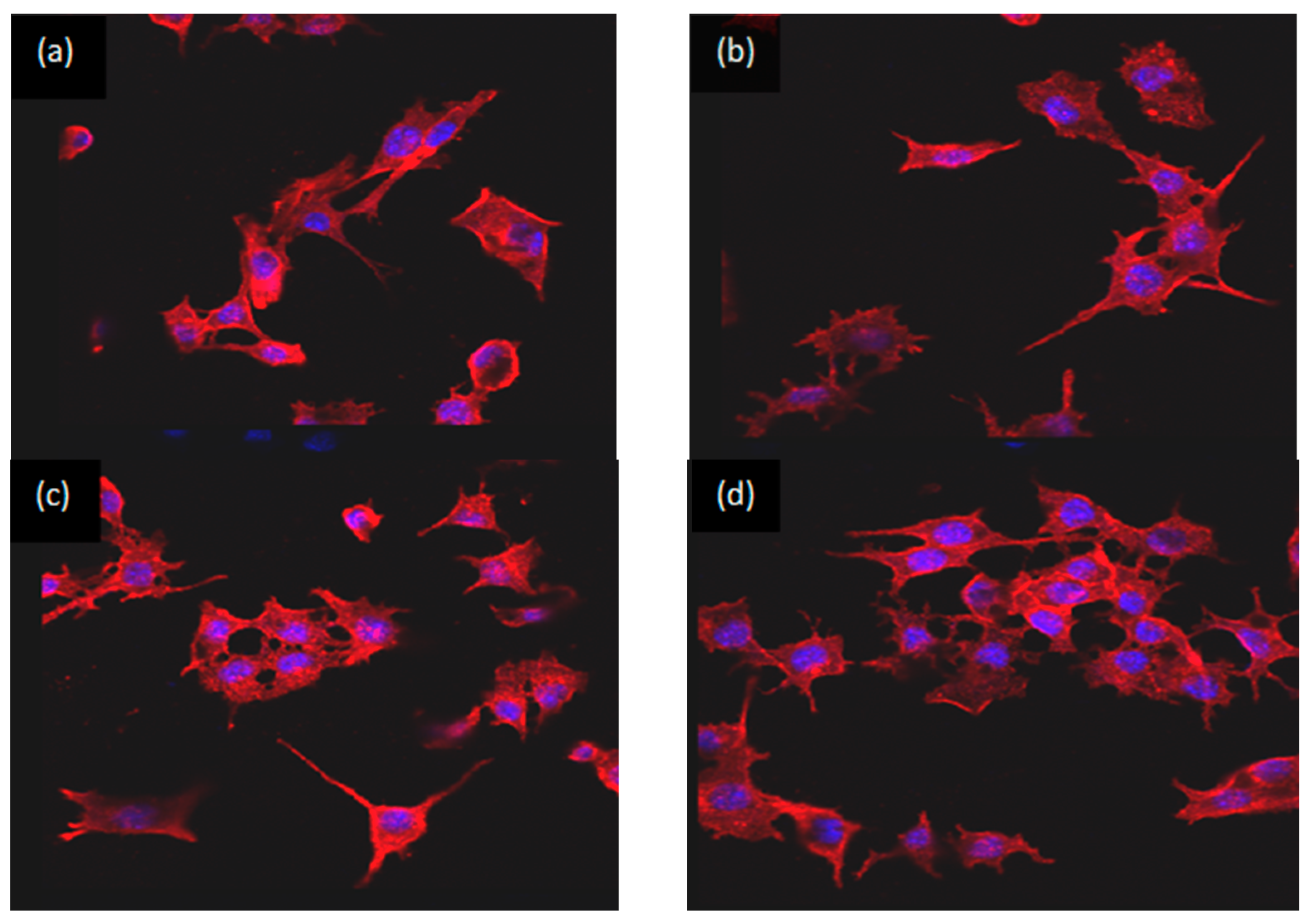 Materials 15 02293 g008 550