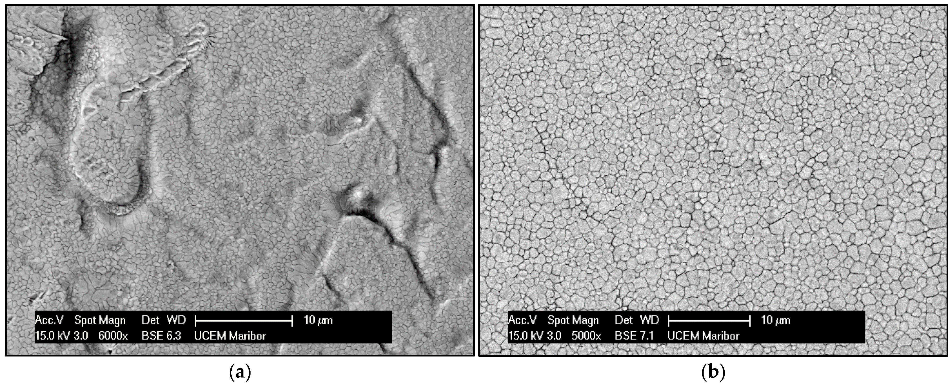 Materials 15 02295 g001