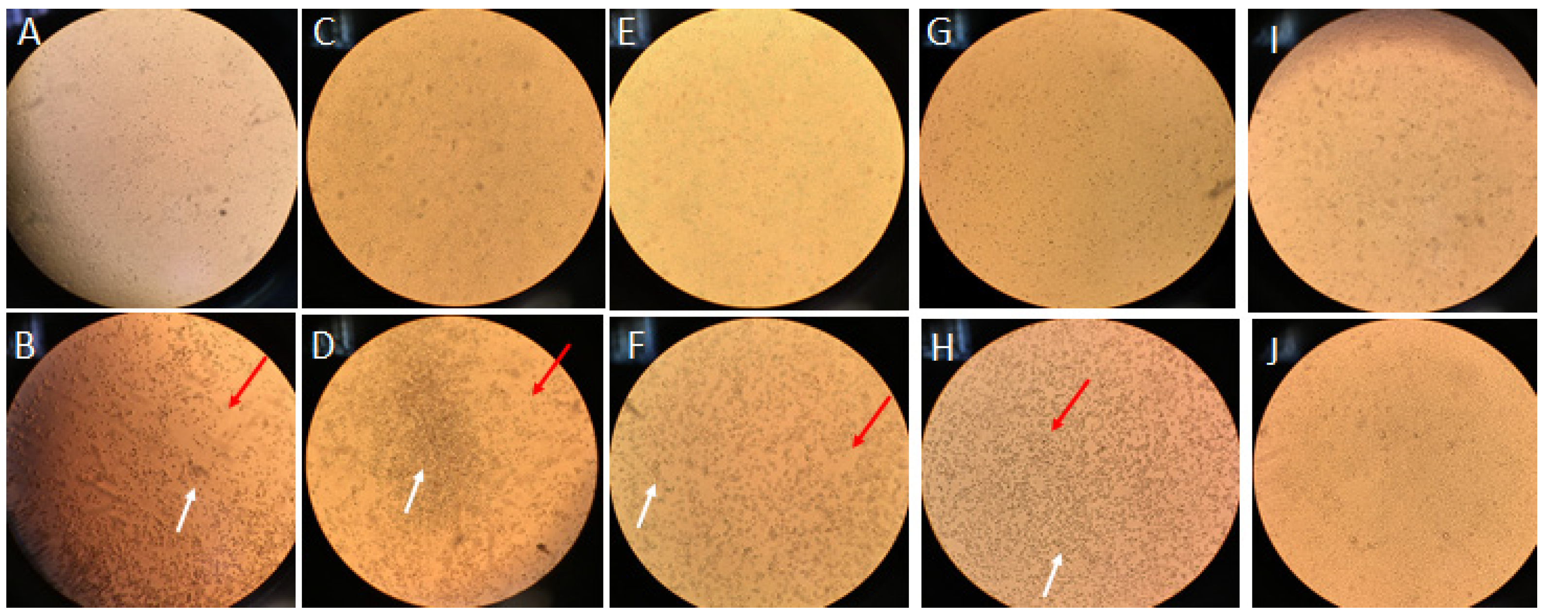 Materials 15 02302 g002