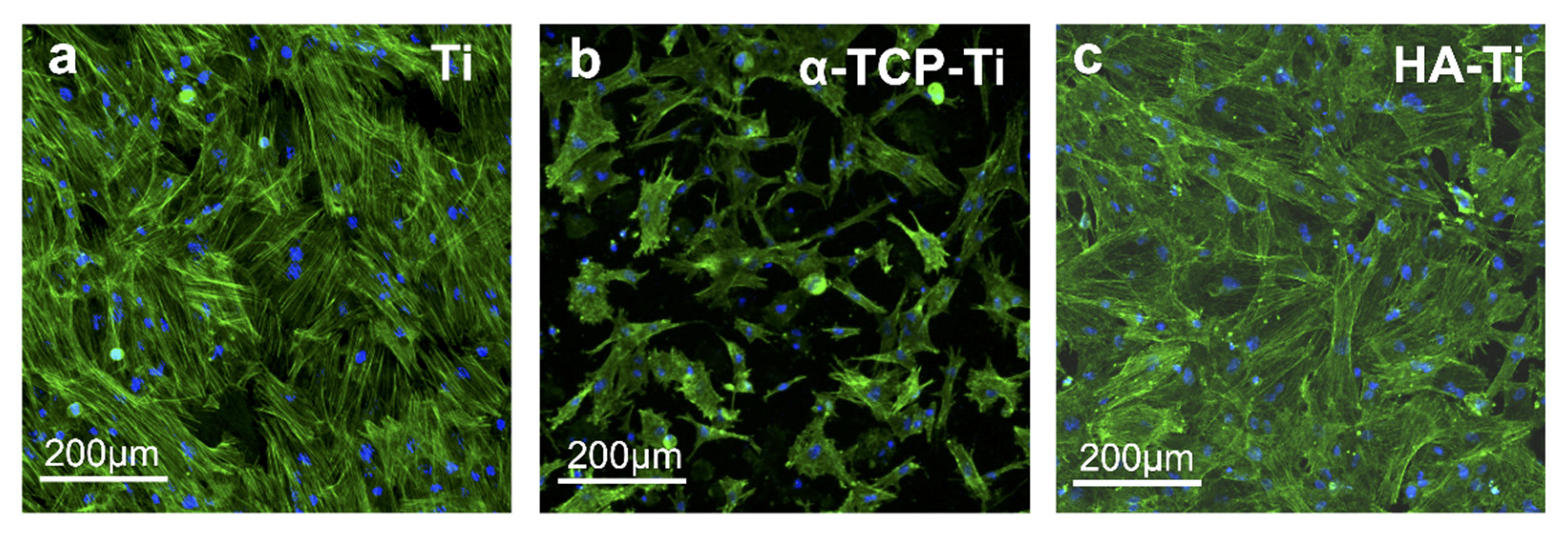 Materials 15 02306 g011