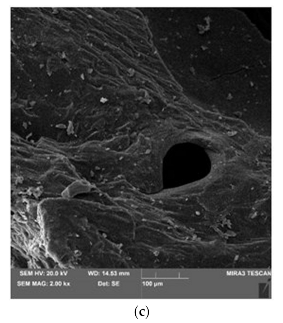 Materials 15 02331 g008b