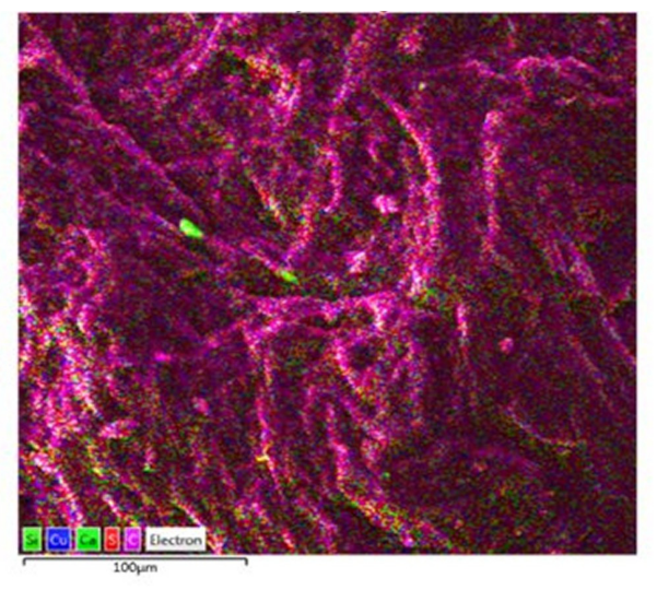 Materials 15 02331 g010