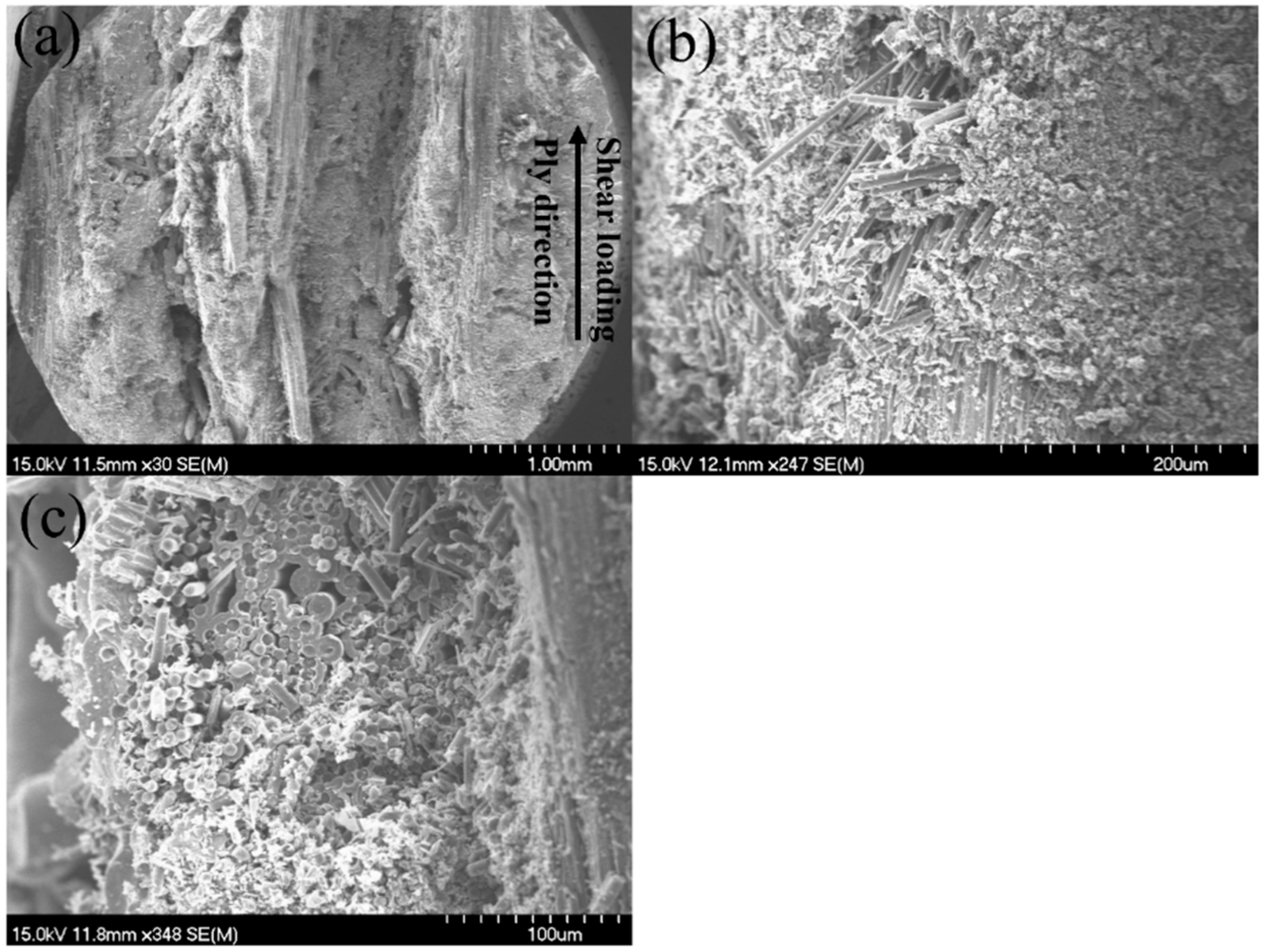 Materials 15 02338 g009