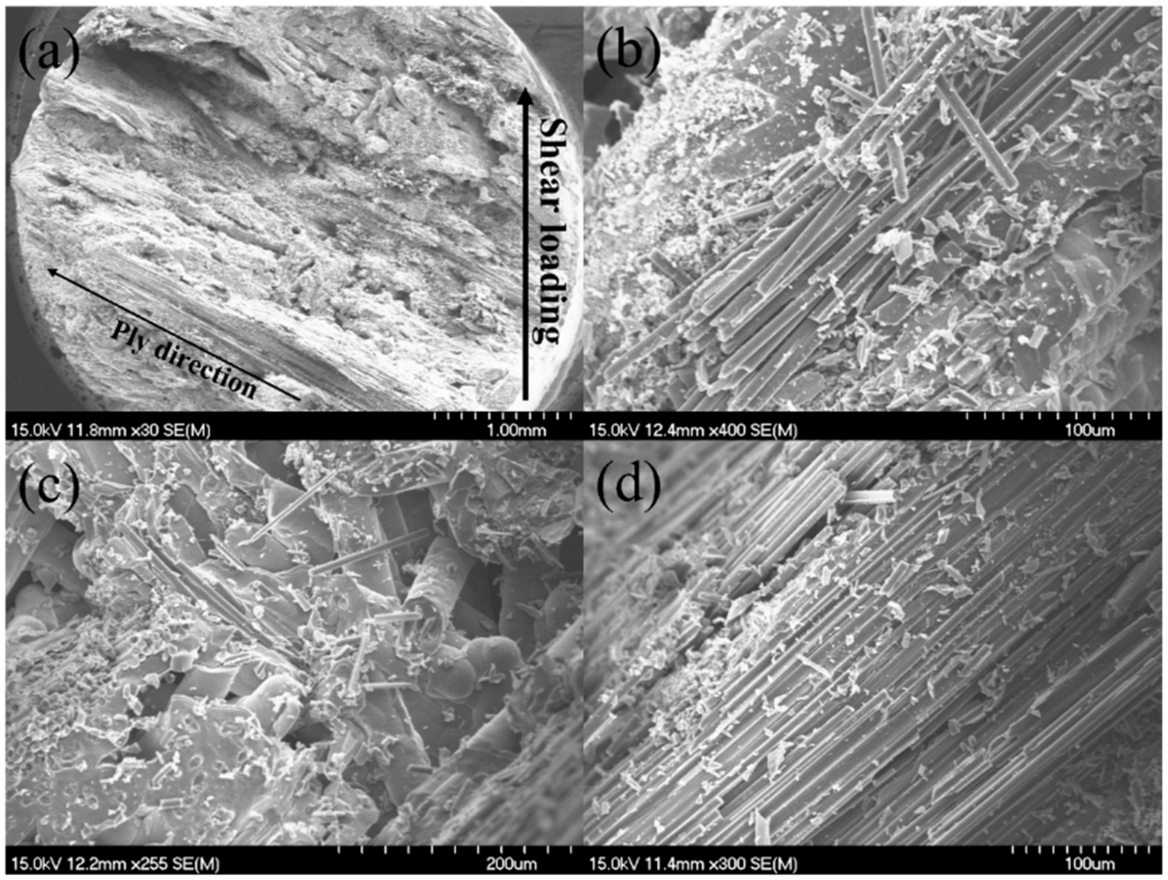 Materials 15 02338 g010